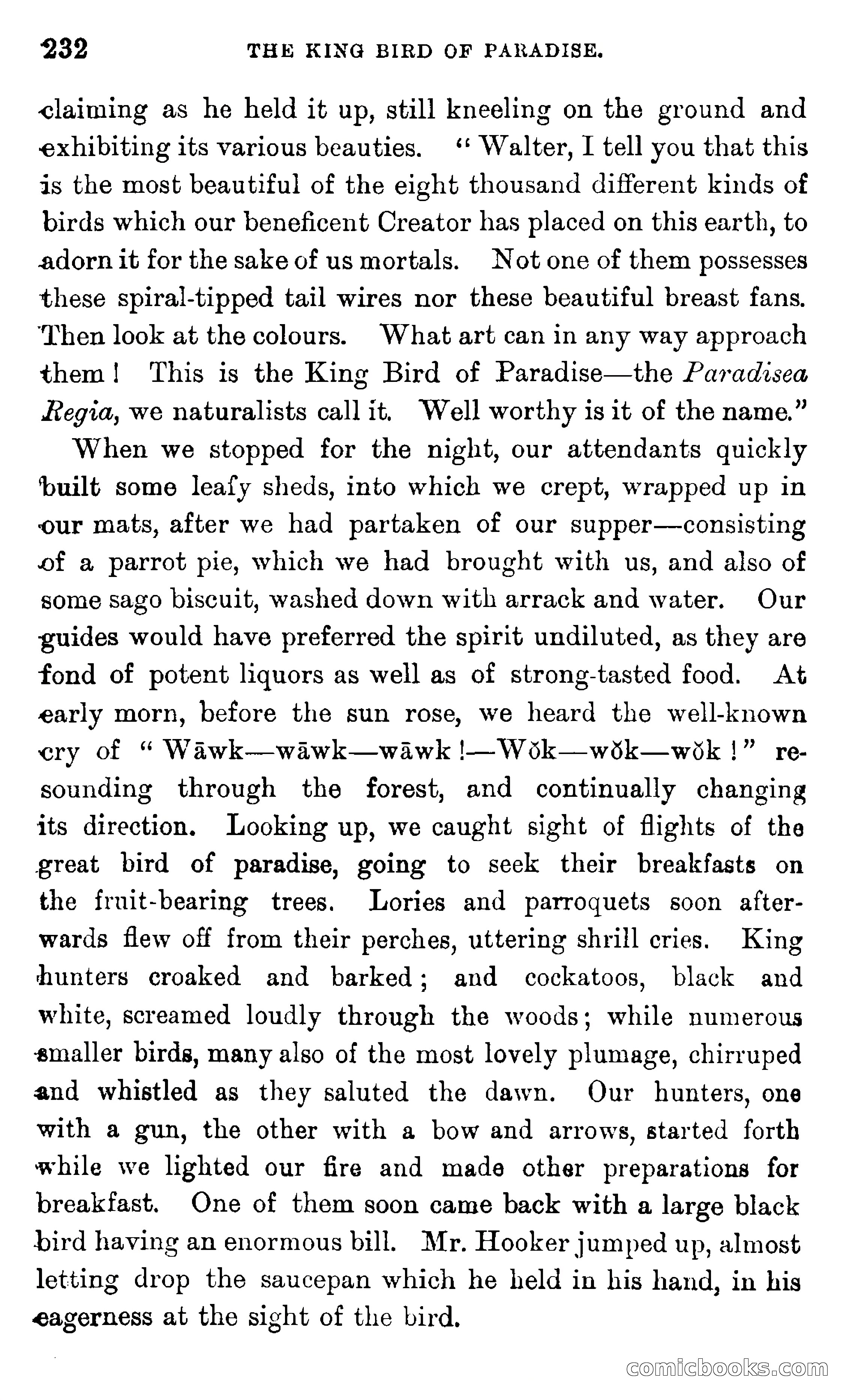 In the Eastern Seas — page 236 of 399