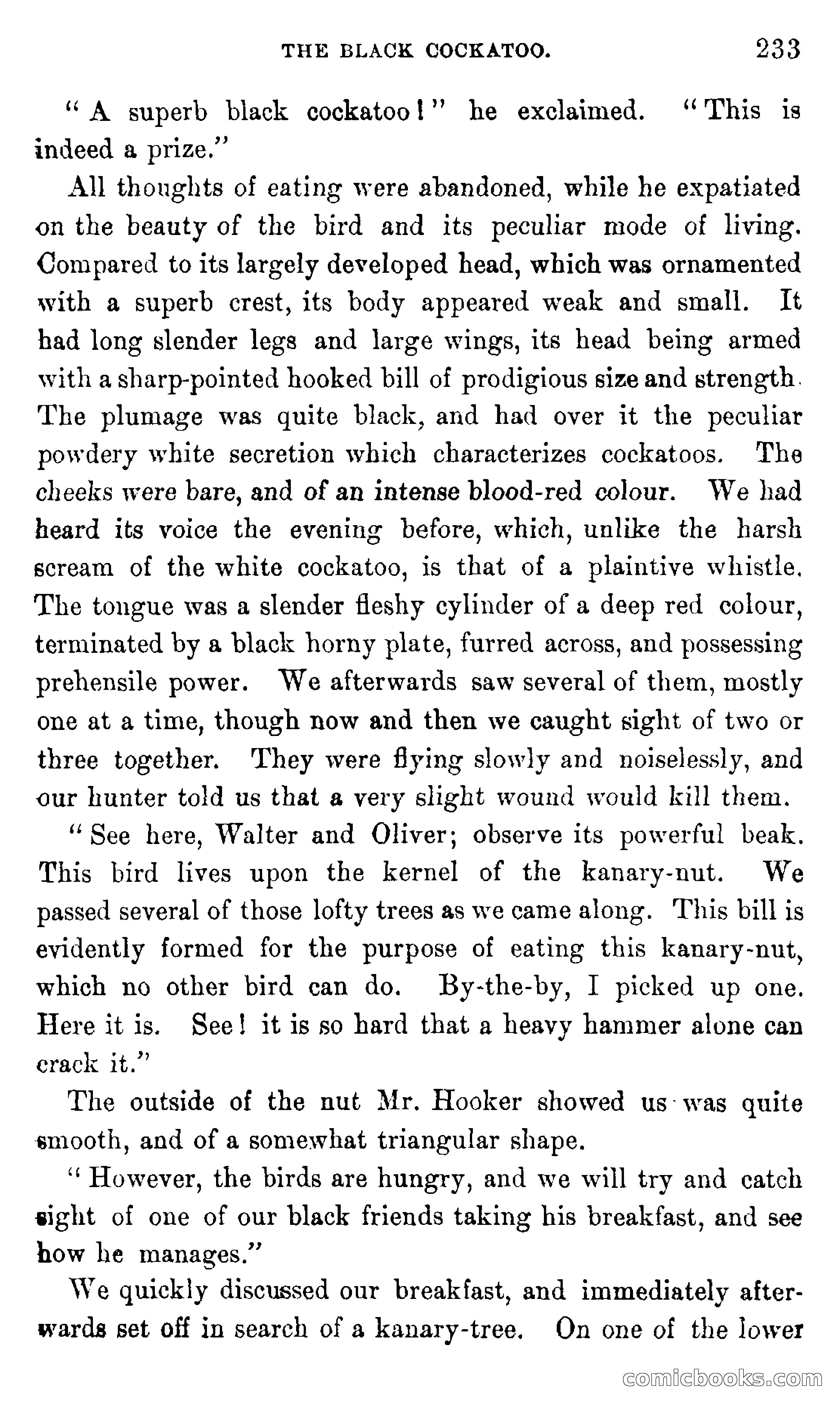 In the Eastern Seas — page 237 of 399
