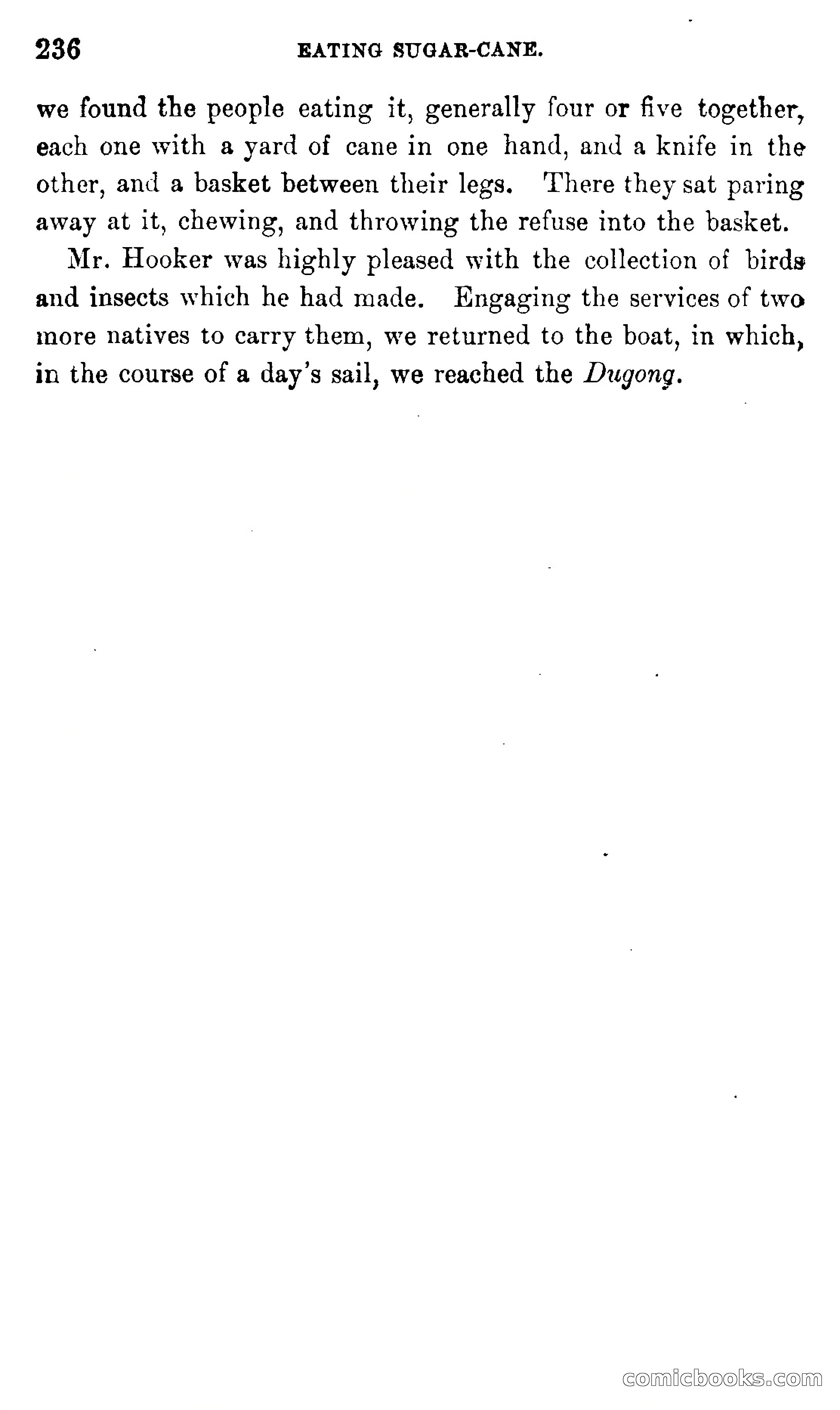 In the Eastern Seas — page 240 of 399