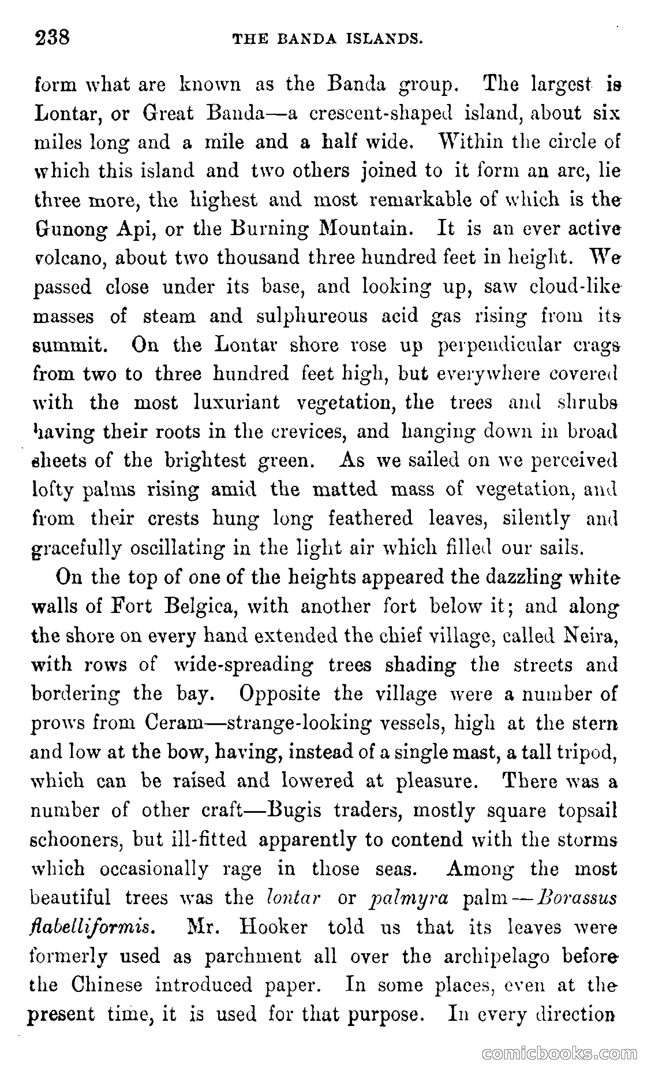 In the Eastern Seas — page 242 of 399