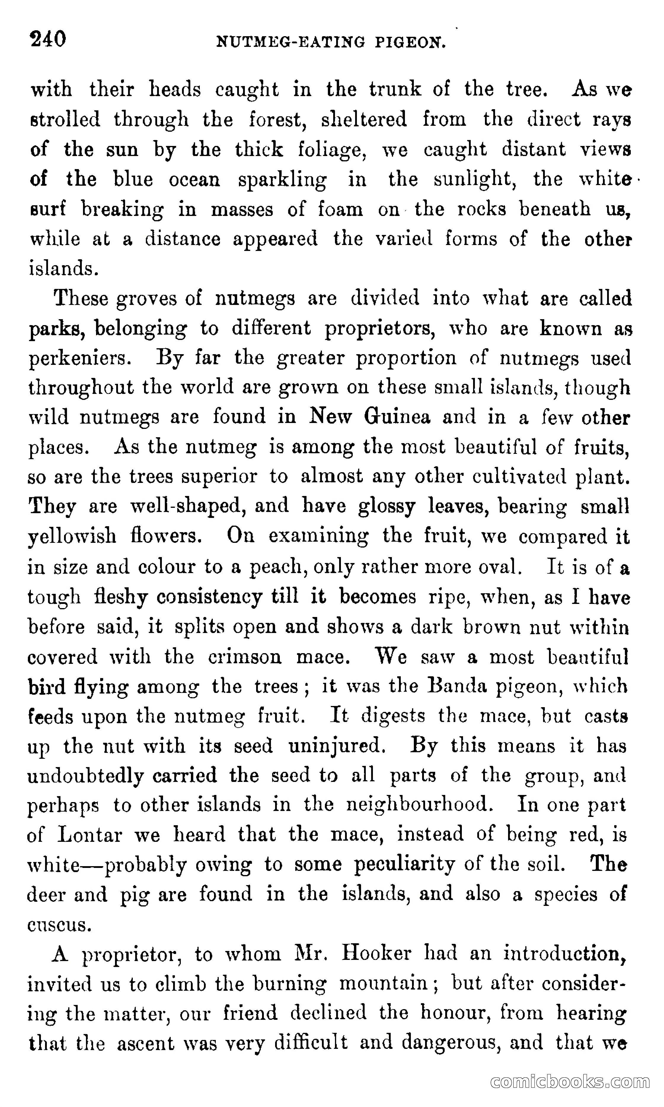 In the Eastern Seas — page 244 of 399