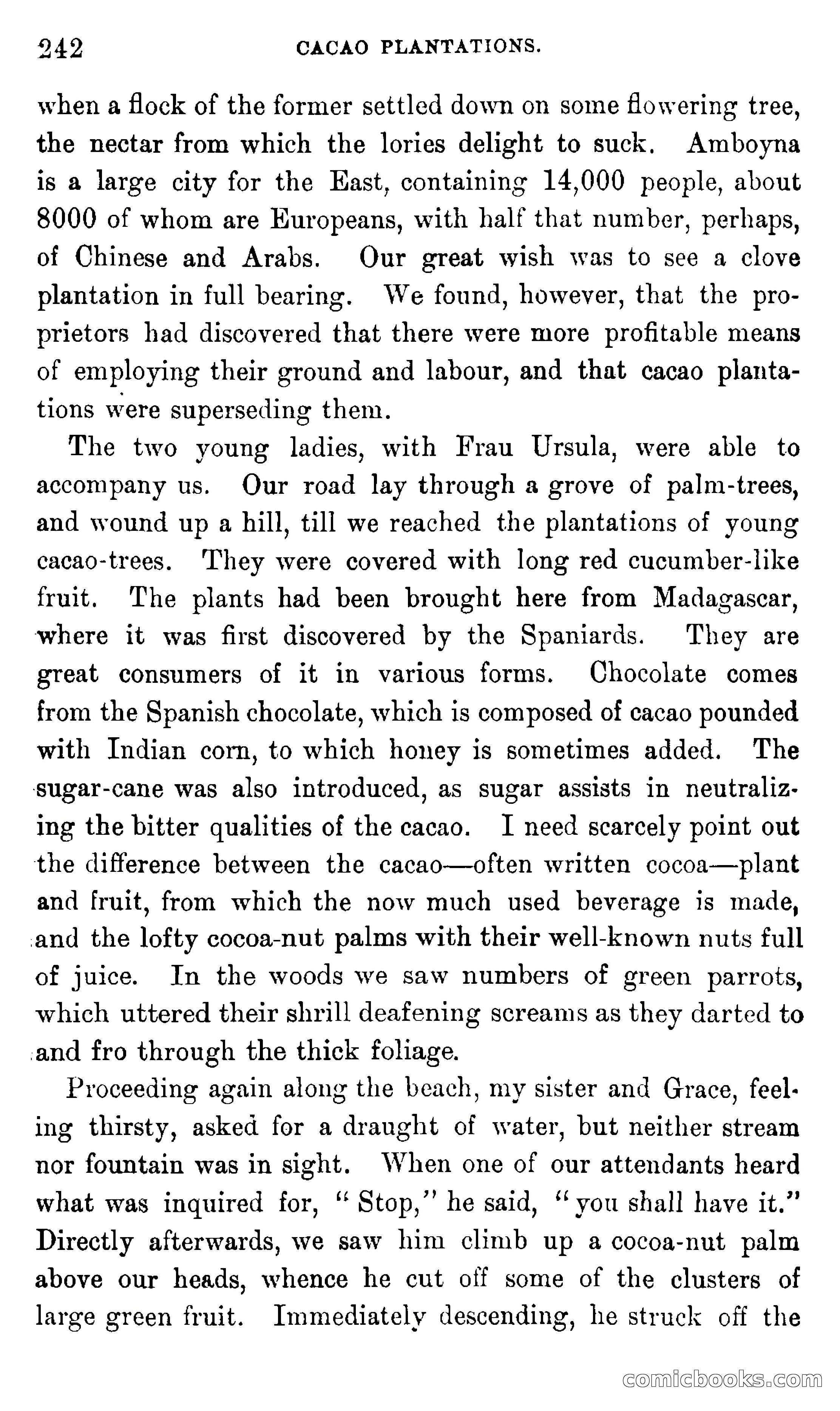 In the Eastern Seas — page 246 of 399