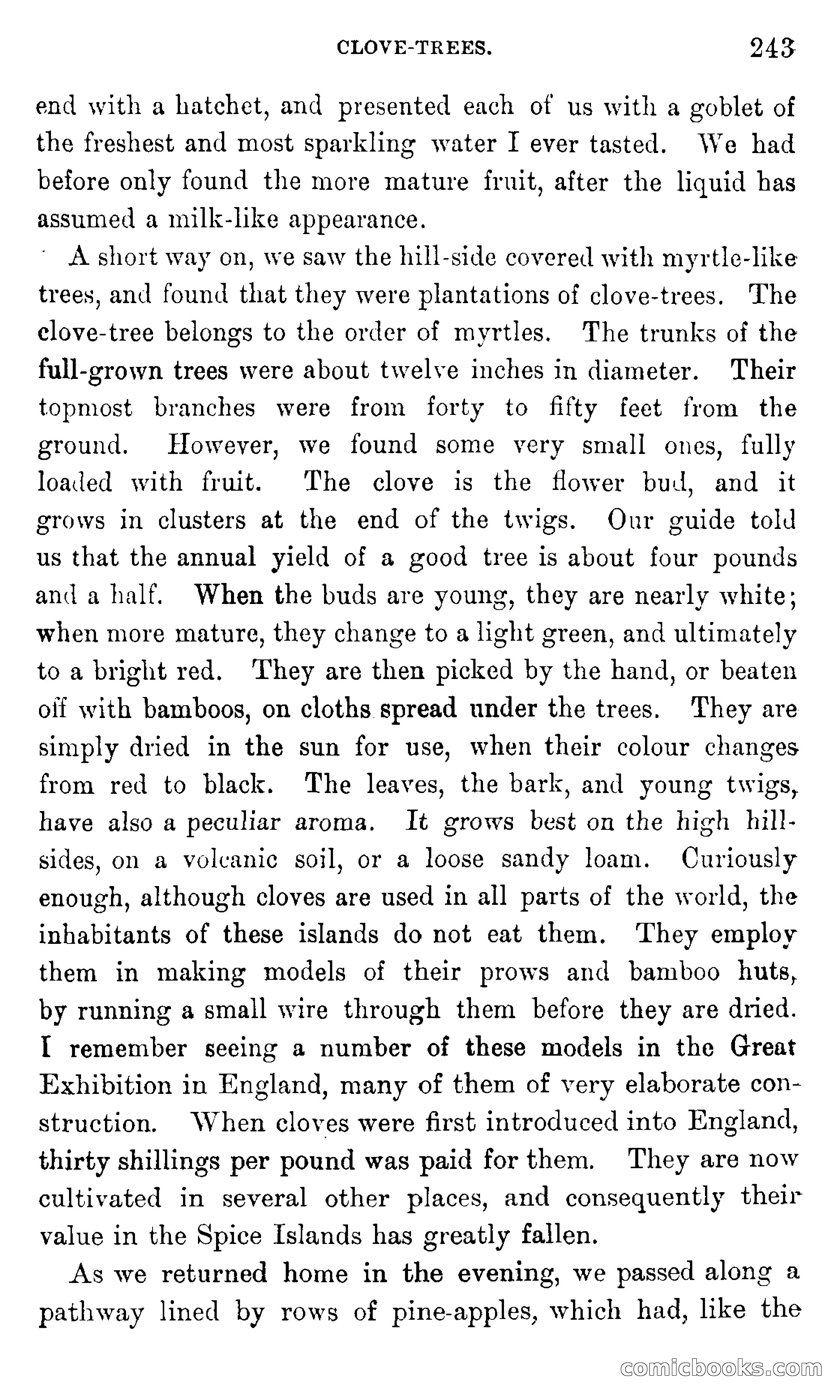 In the Eastern Seas — page 247 of 399