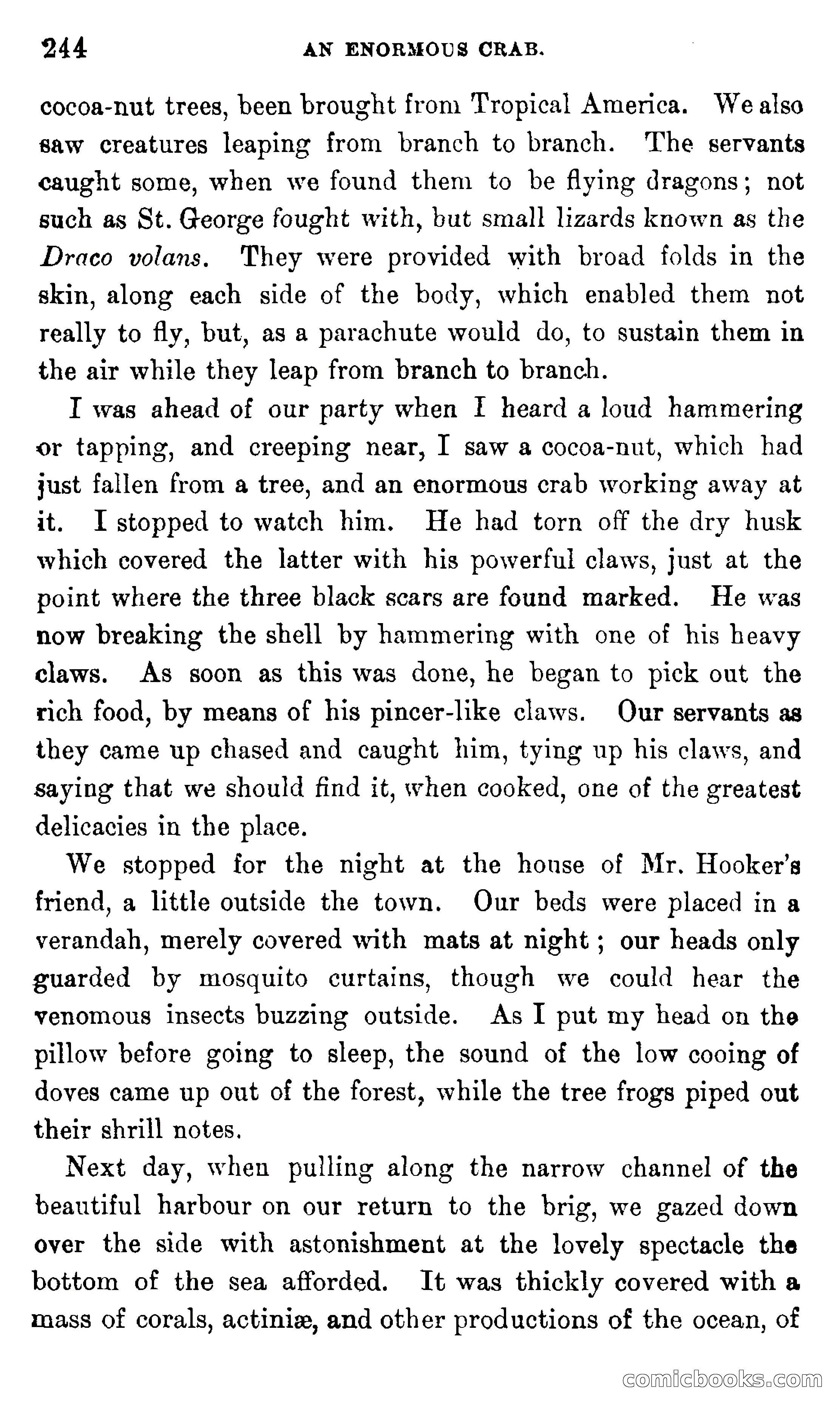 In the Eastern Seas — page 248 of 399