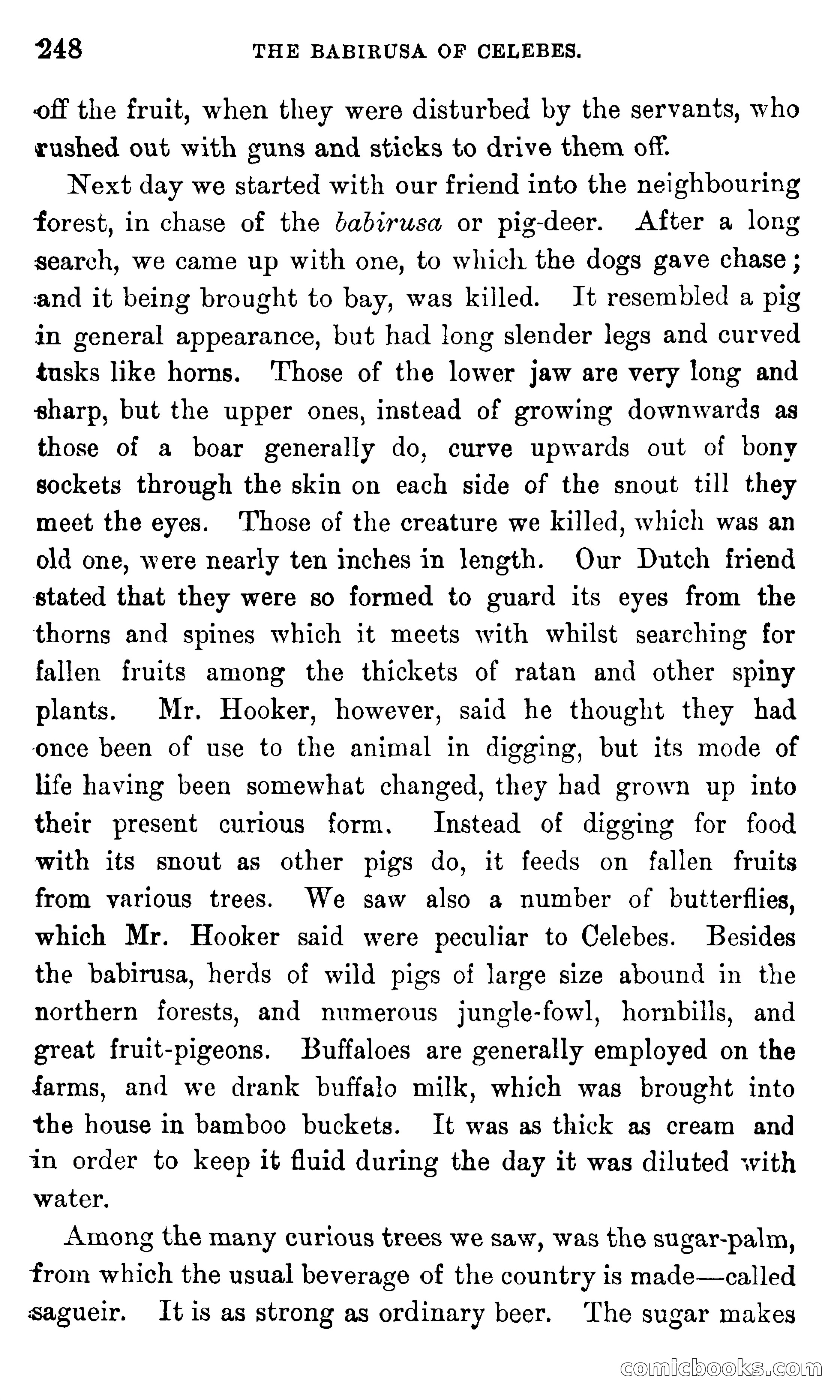 In the Eastern Seas — page 252 of 399