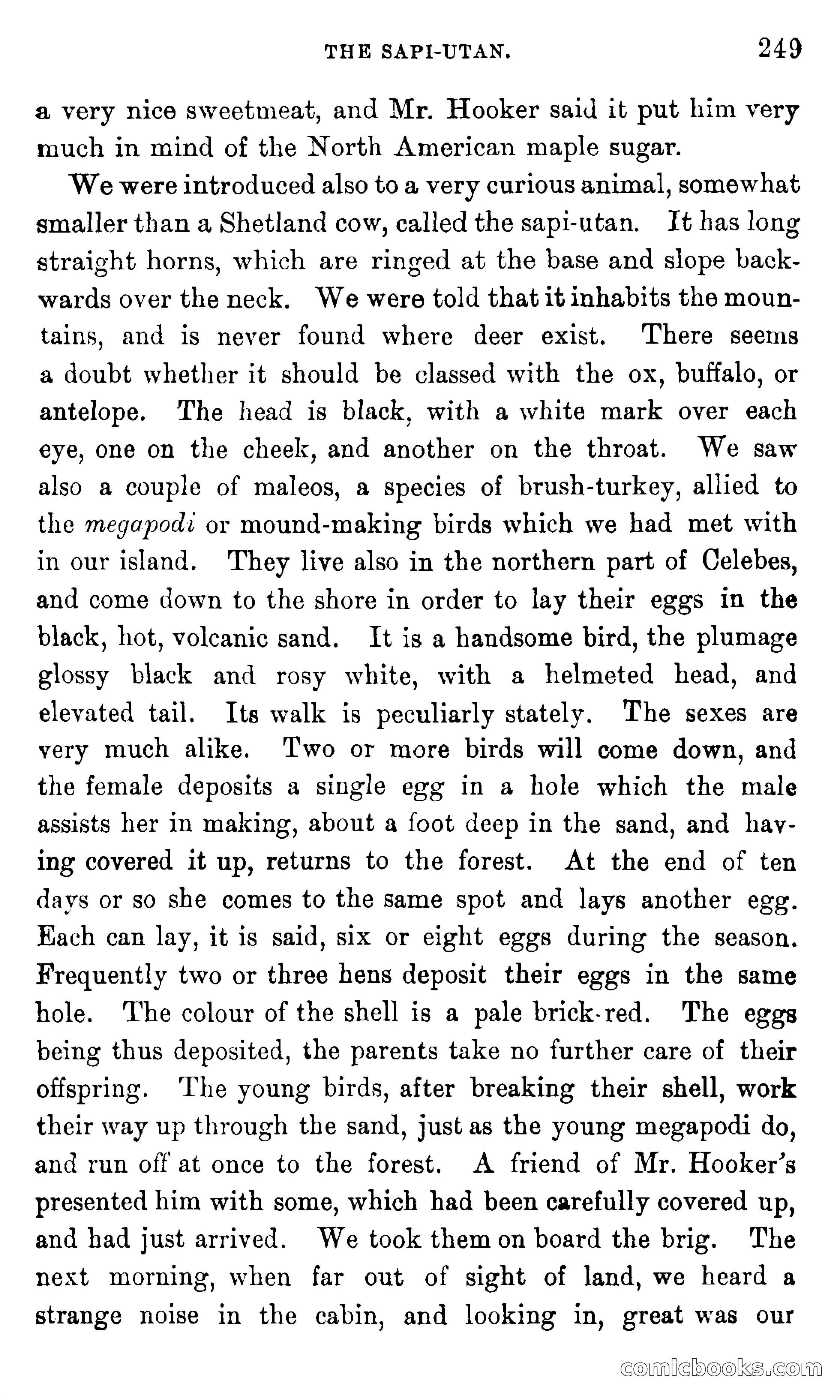 In the Eastern Seas — page 253 of 399