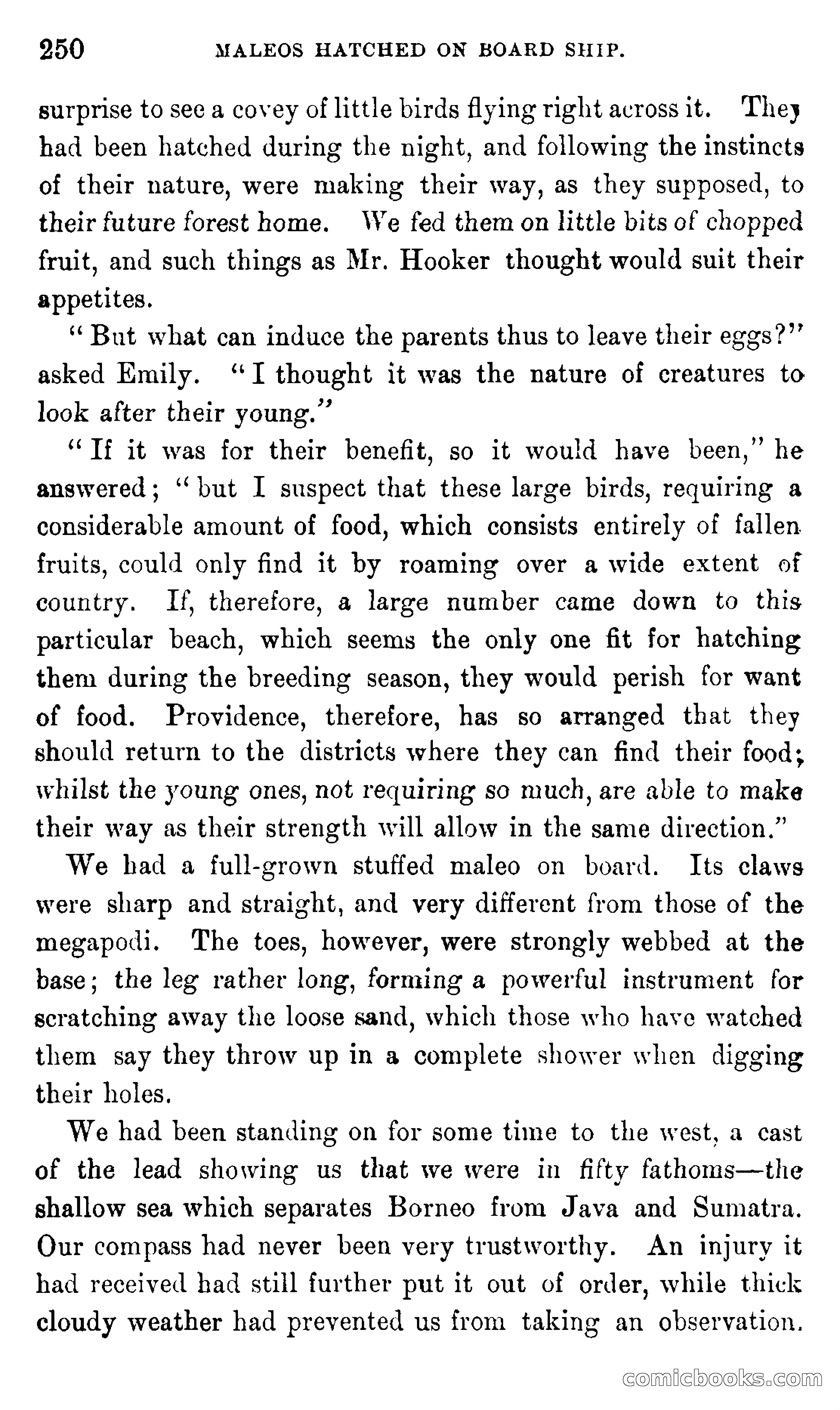 In the Eastern Seas — page 254 of 399