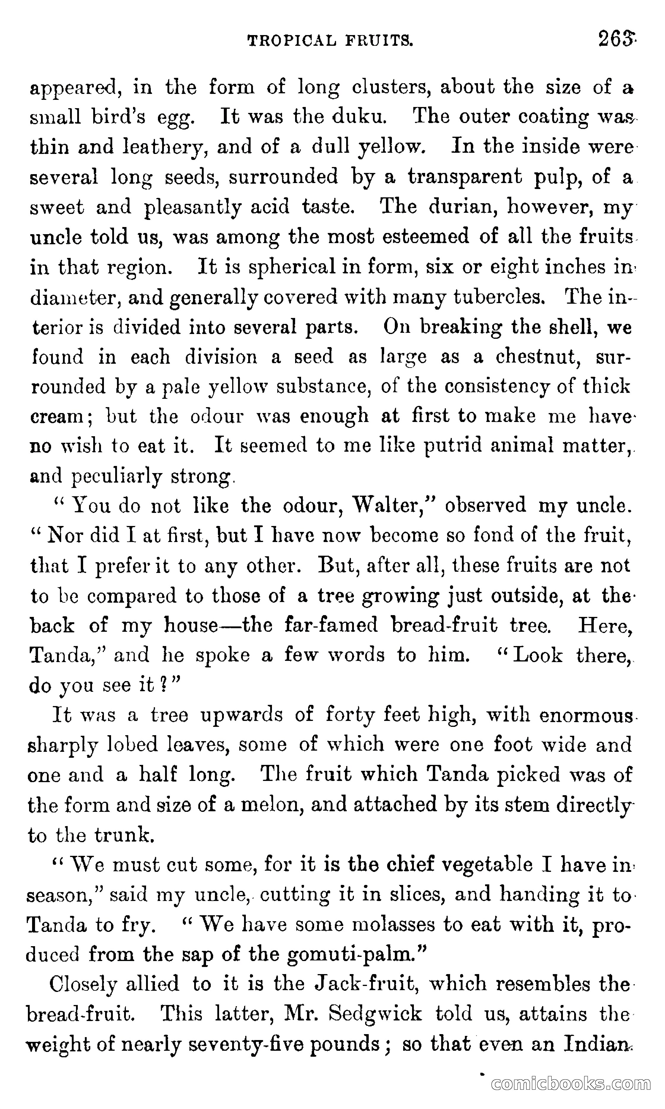 In the Eastern Seas — page 267 of 399