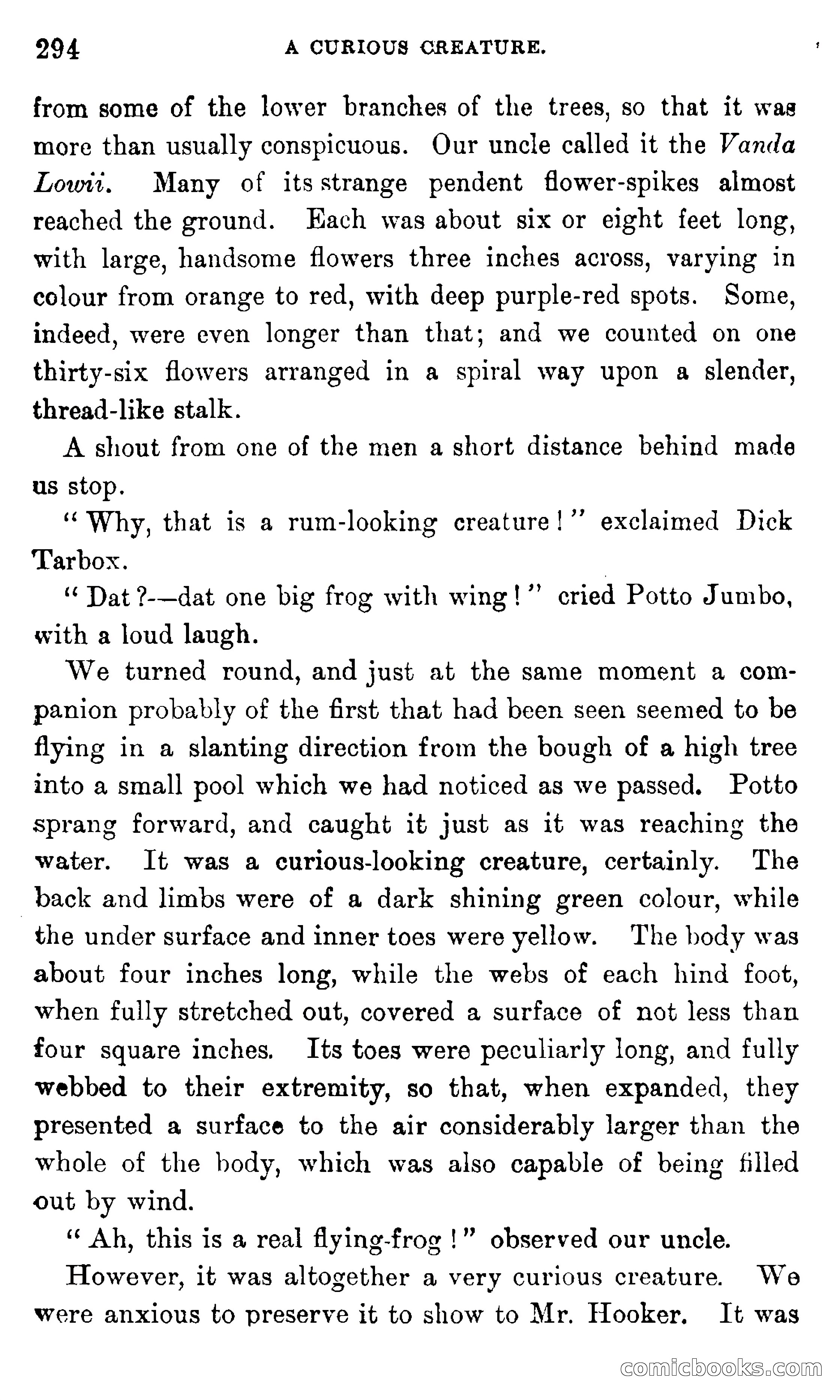 In the Eastern Seas — page 298 of 399