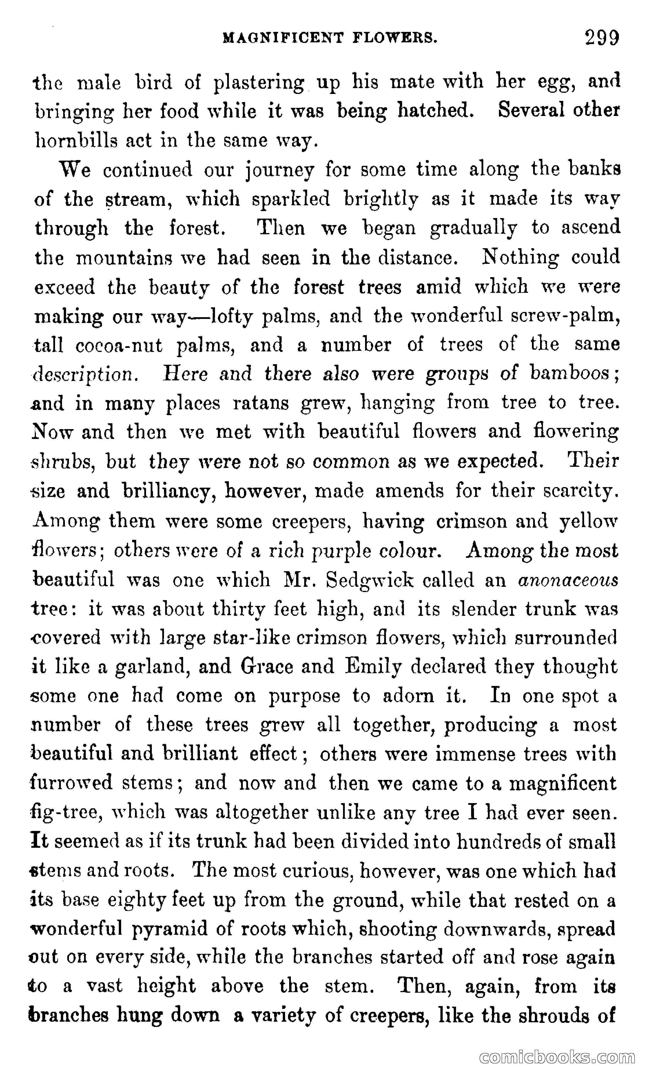 In the Eastern Seas — page 303 of 399