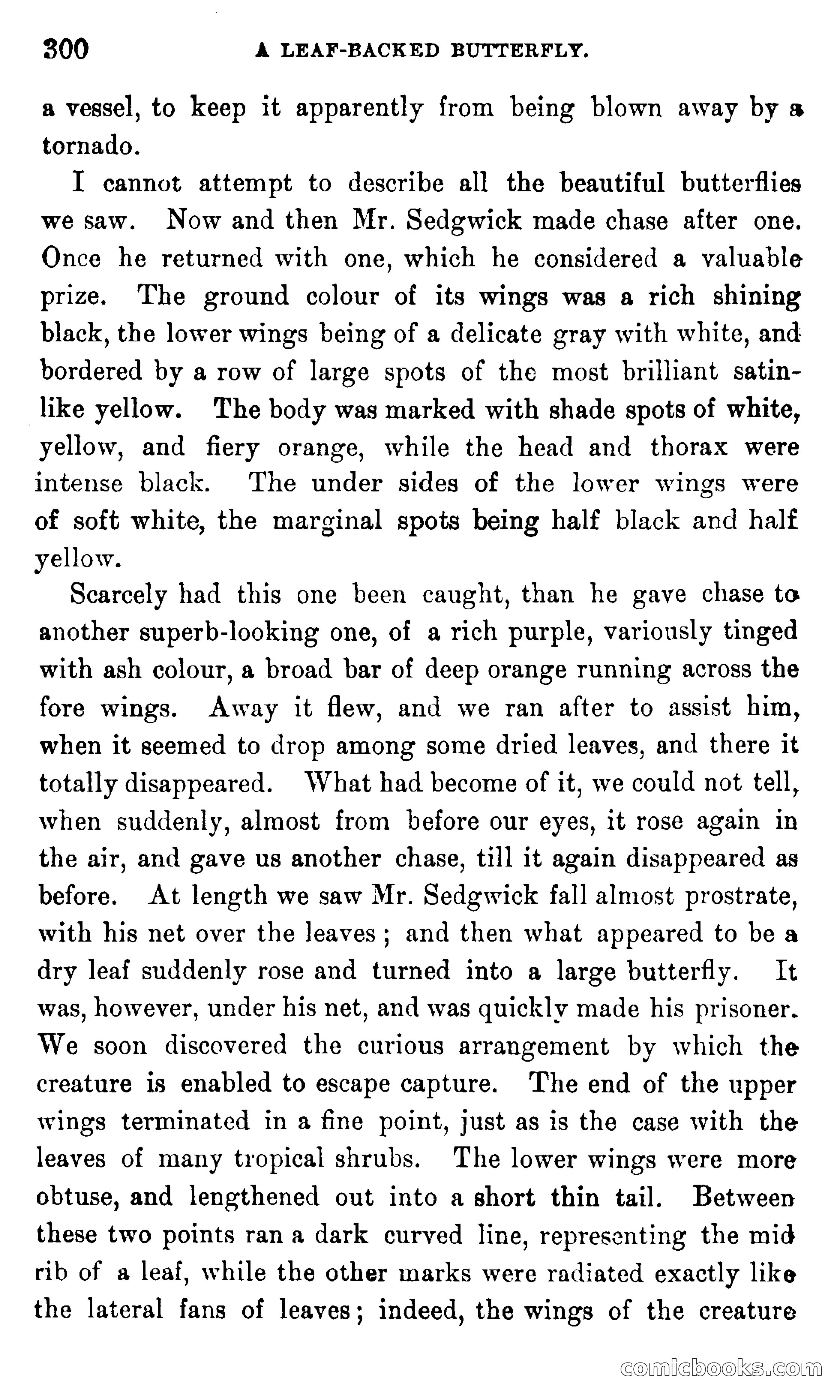 In the Eastern Seas — page 304 of 399