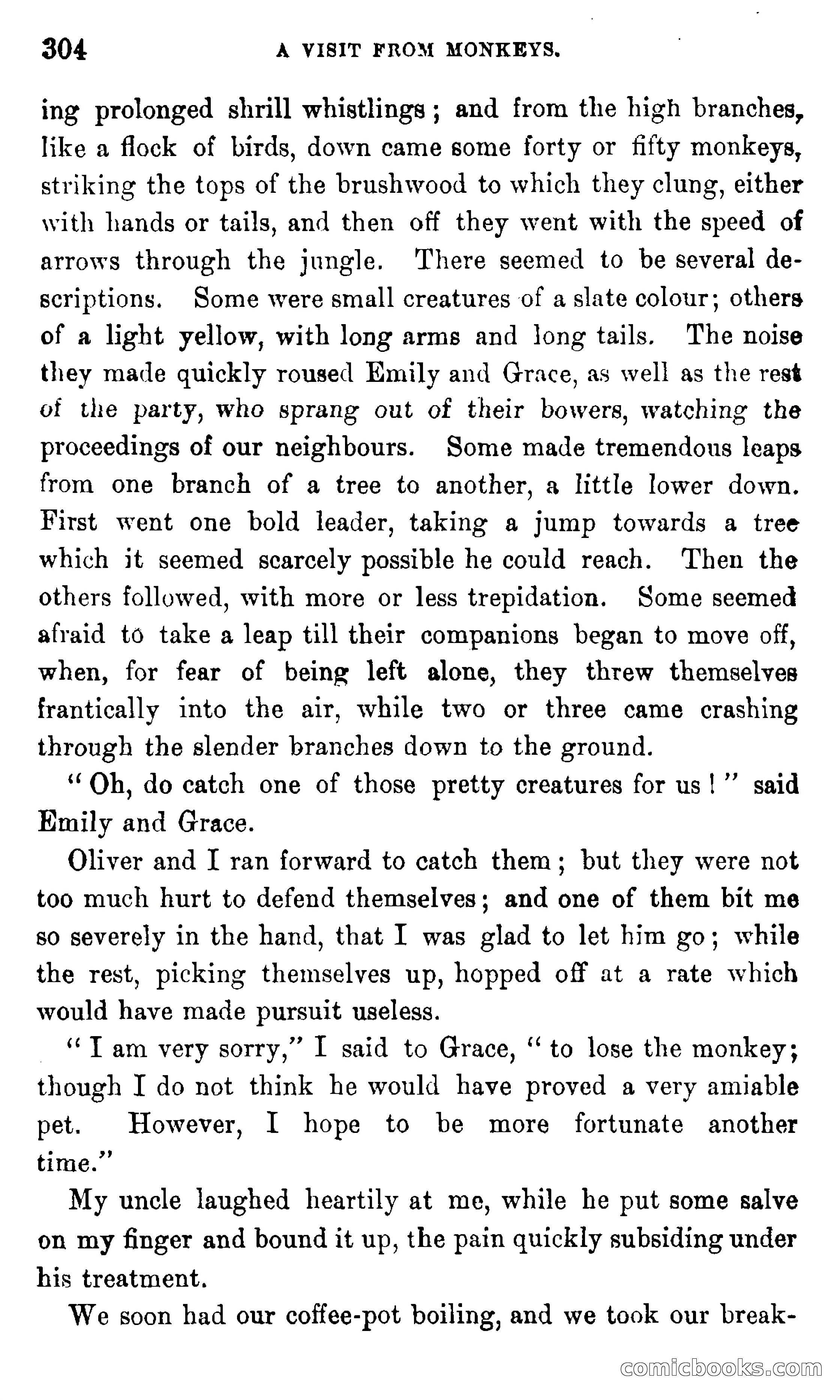In the Eastern Seas — page 308 of 399