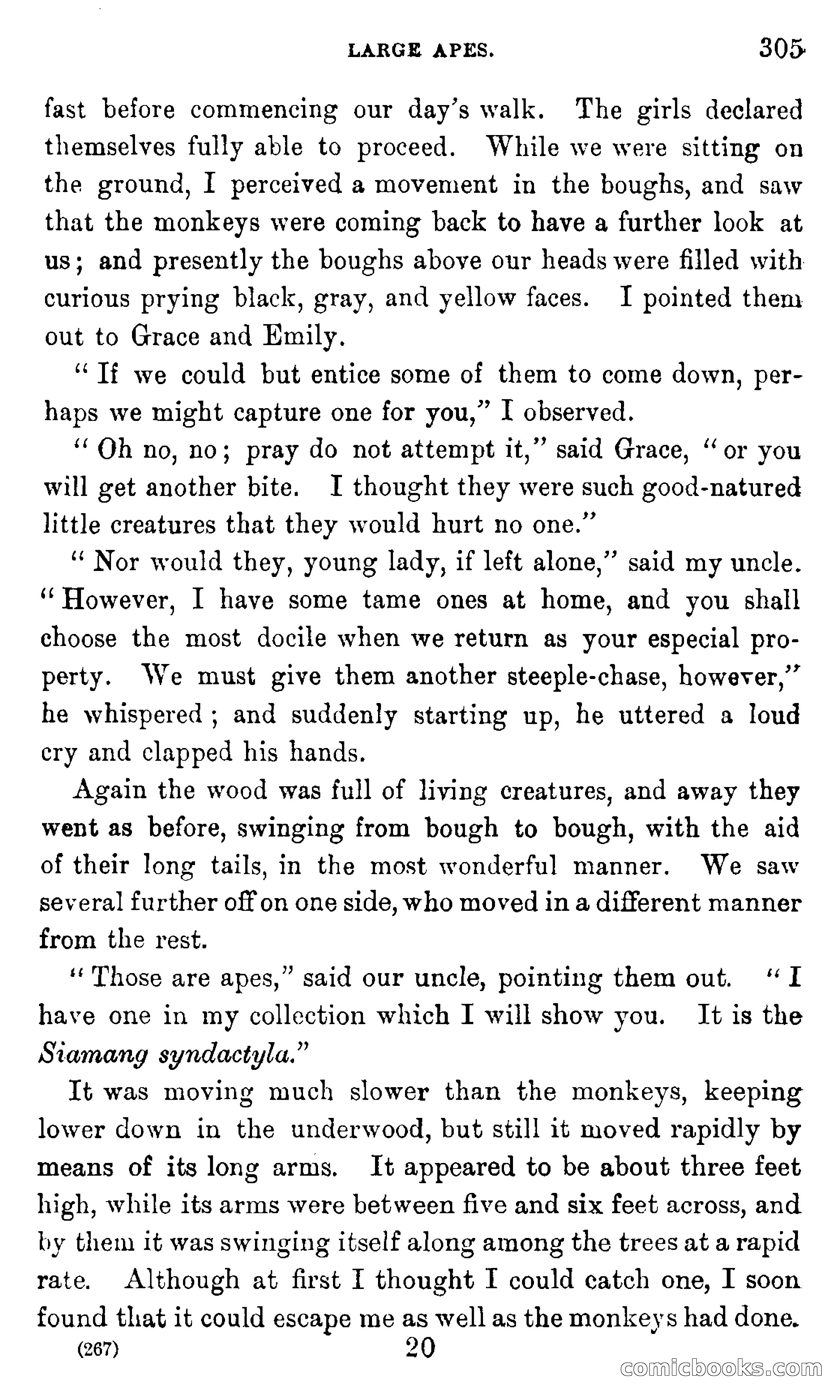 In the Eastern Seas — page 309 of 399