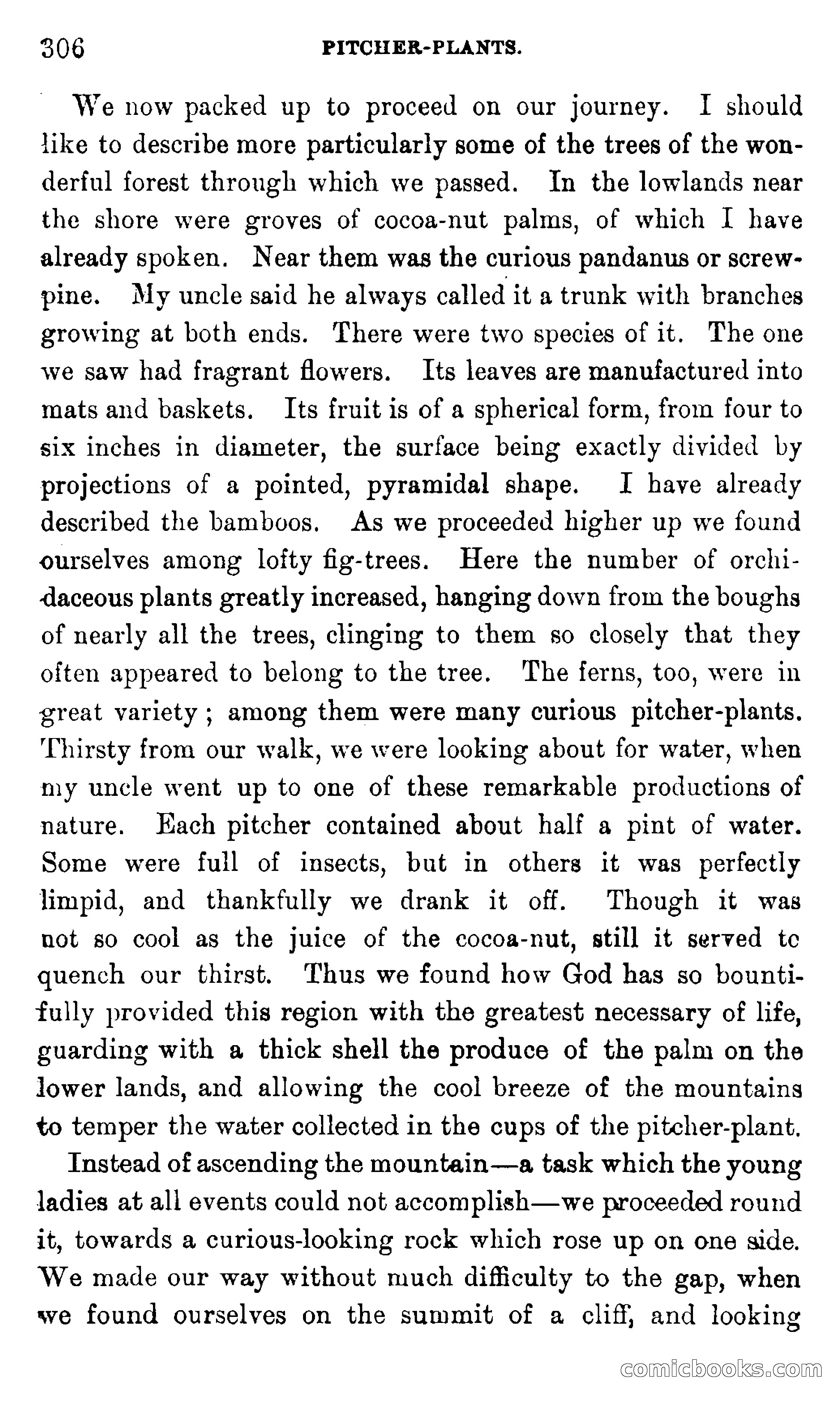 In the Eastern Seas — page 310 of 399