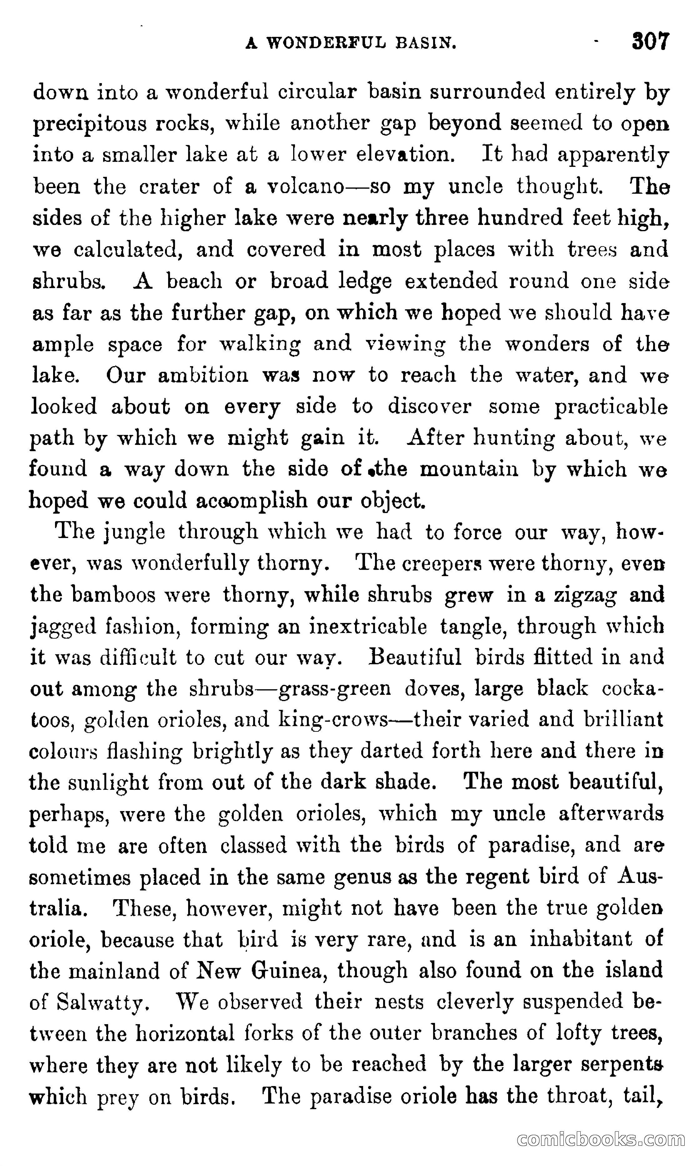 In the Eastern Seas — page 311 of 399