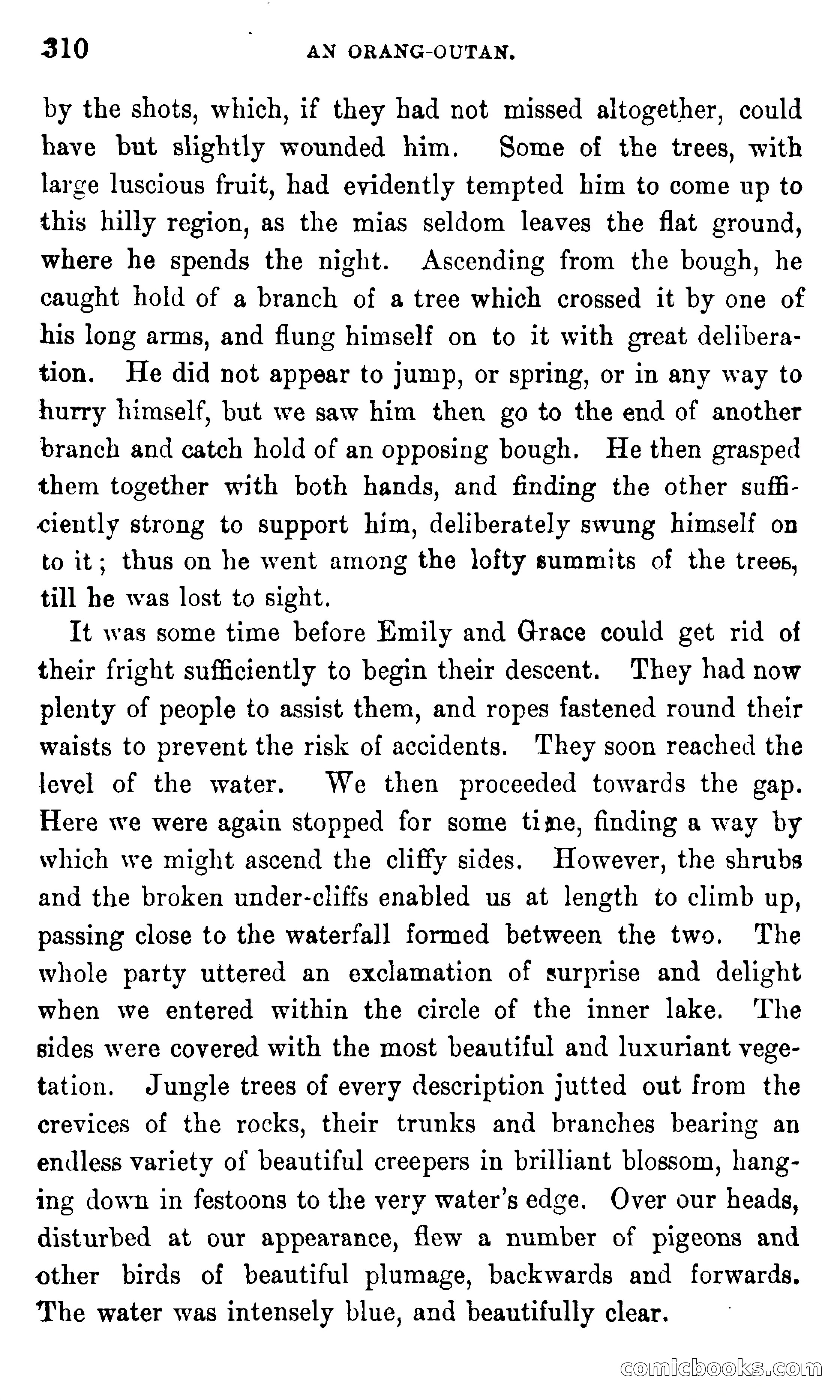 In the Eastern Seas — page 314 of 399