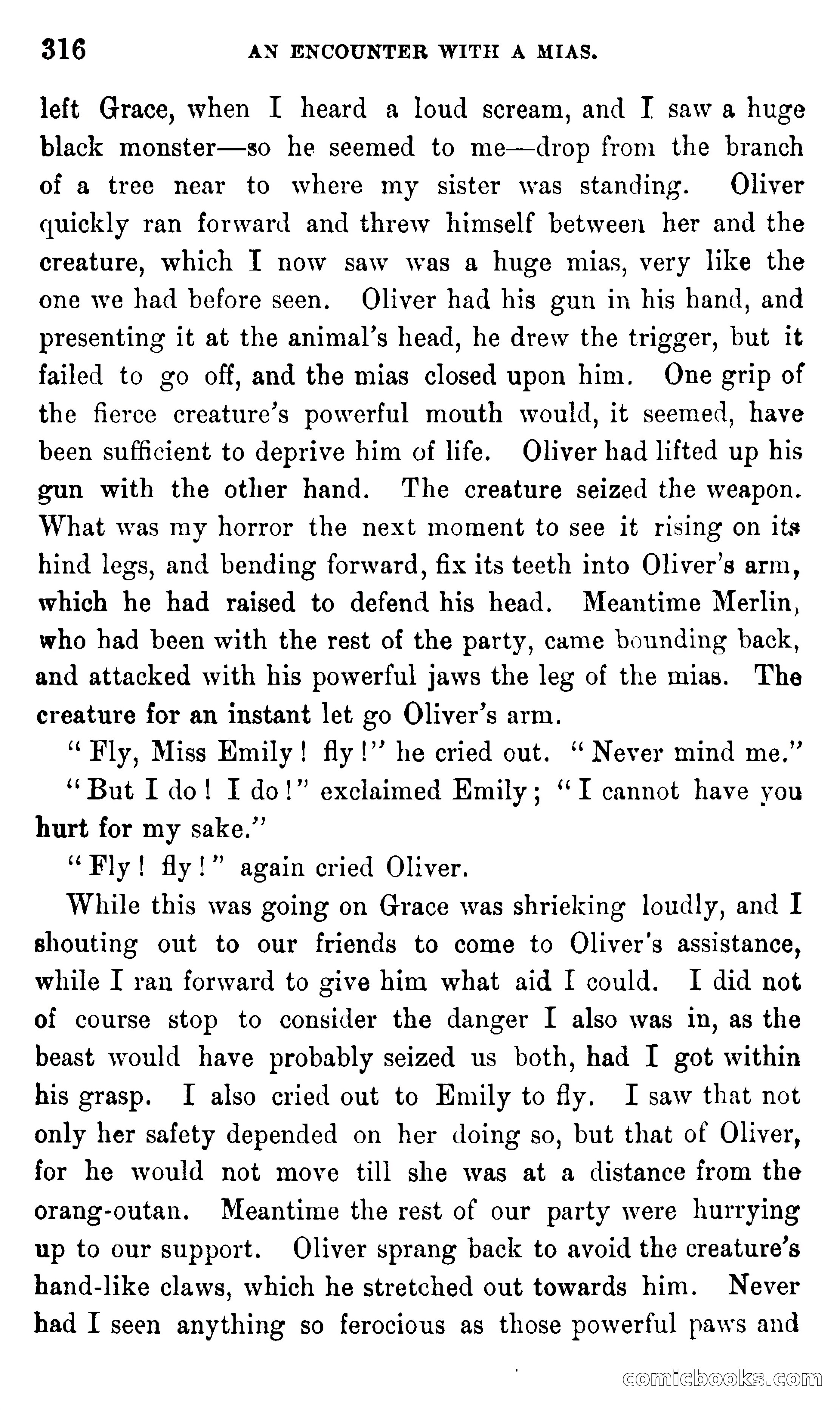 In the Eastern Seas — page 320 of 399
