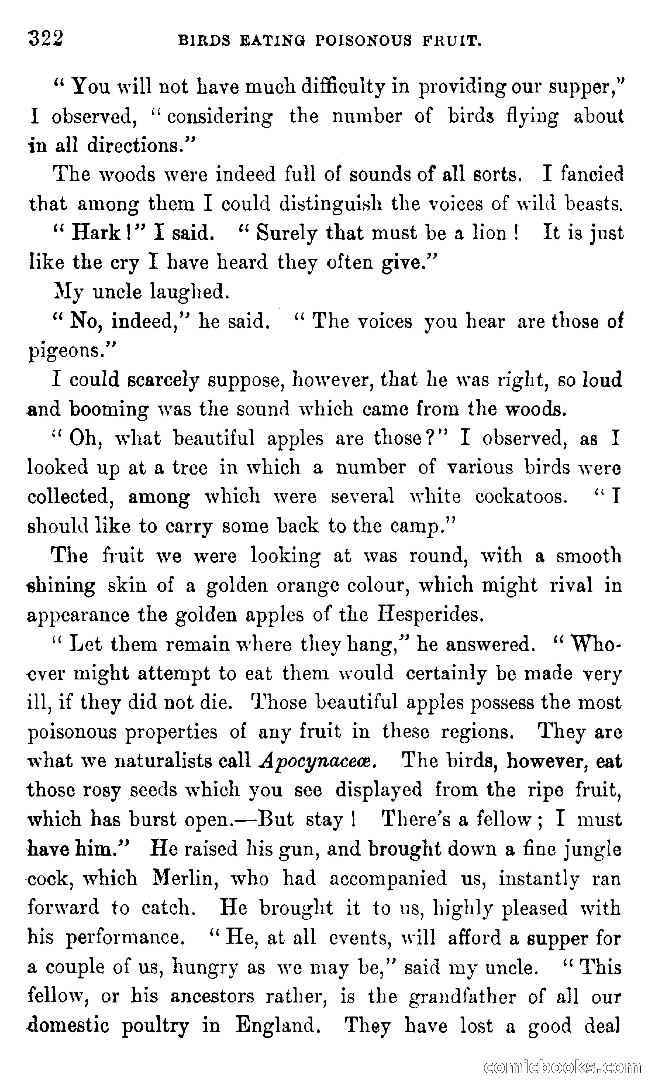 In the Eastern Seas — page 326 of 399