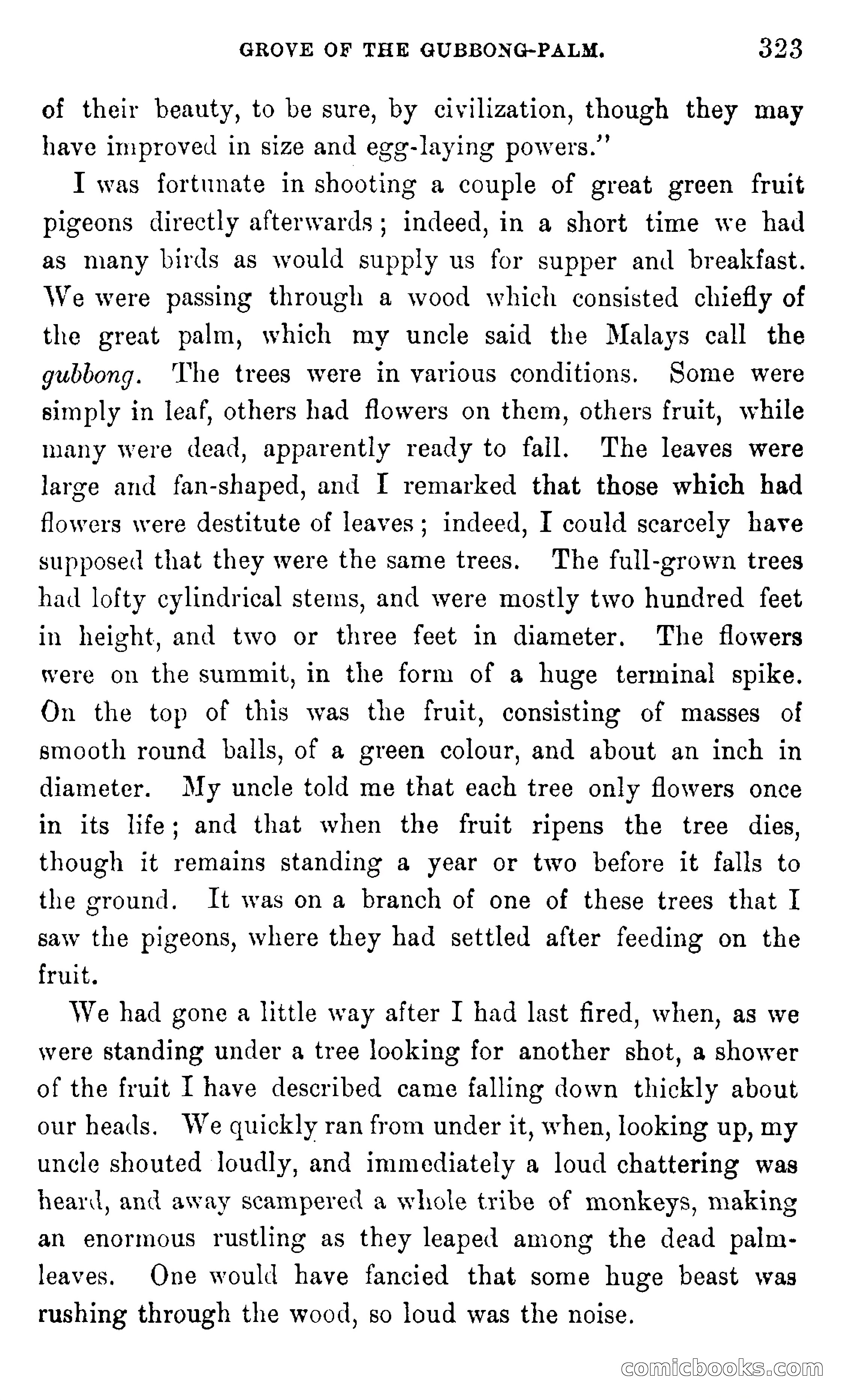 In the Eastern Seas — page 327 of 399