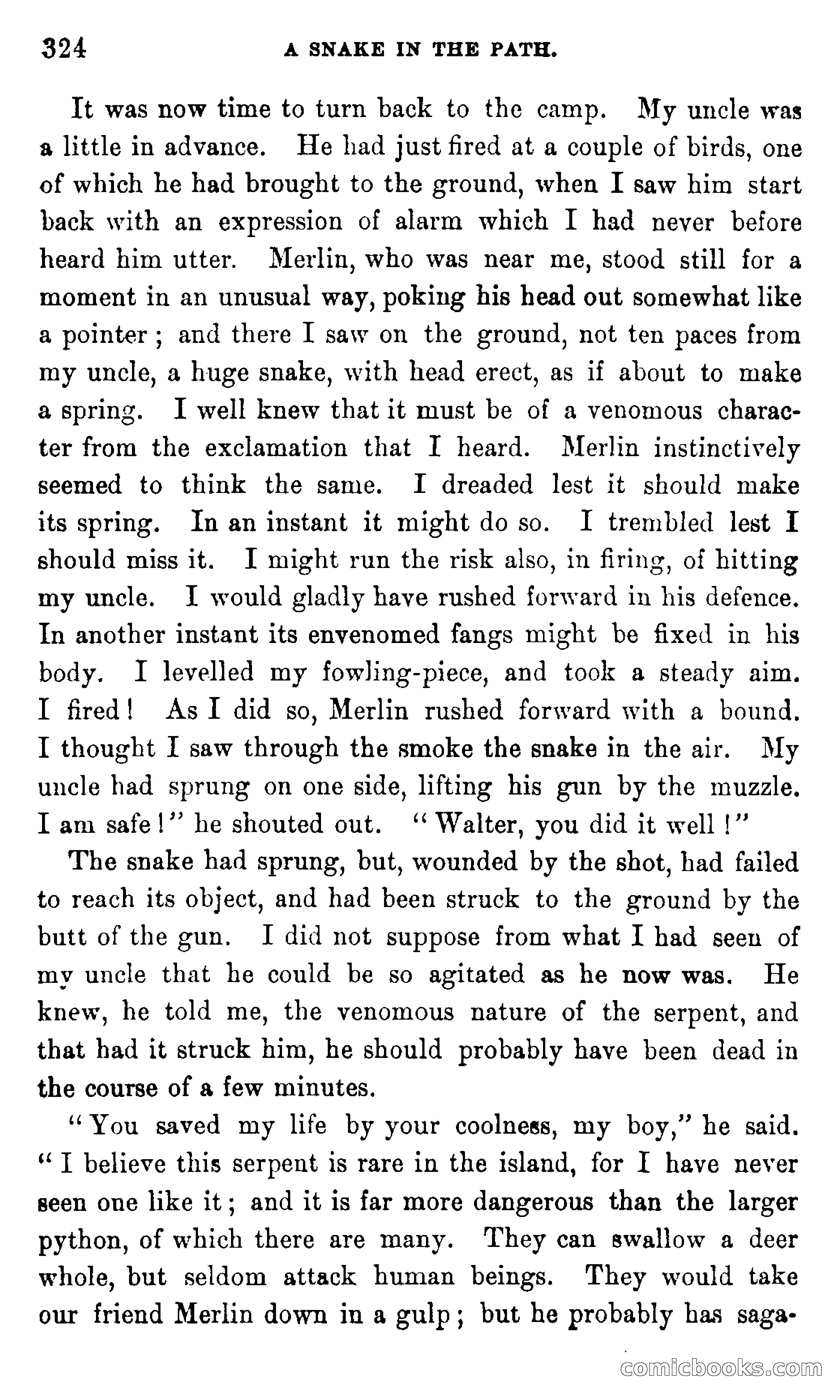 In the Eastern Seas — page 328 of 399