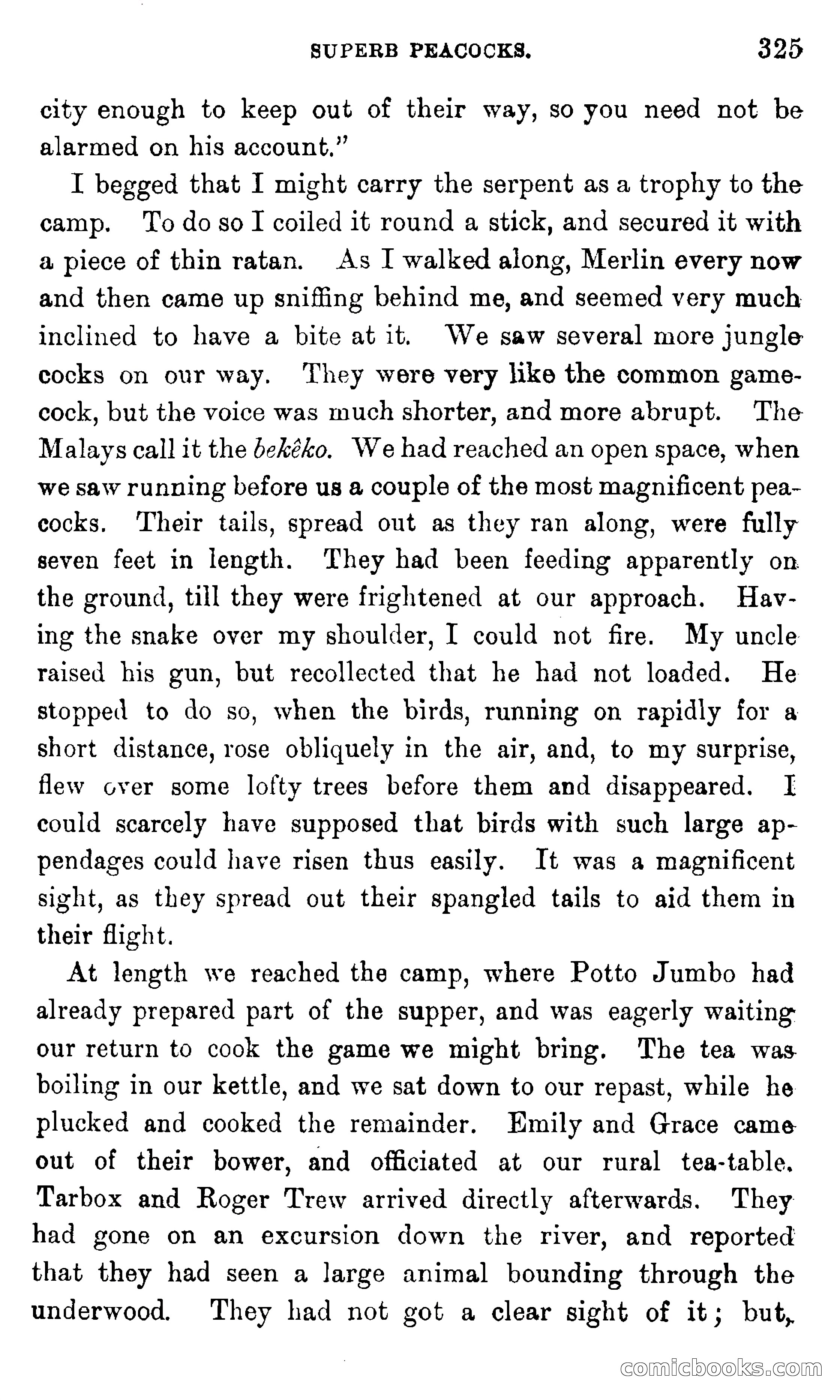 In the Eastern Seas — page 329 of 399