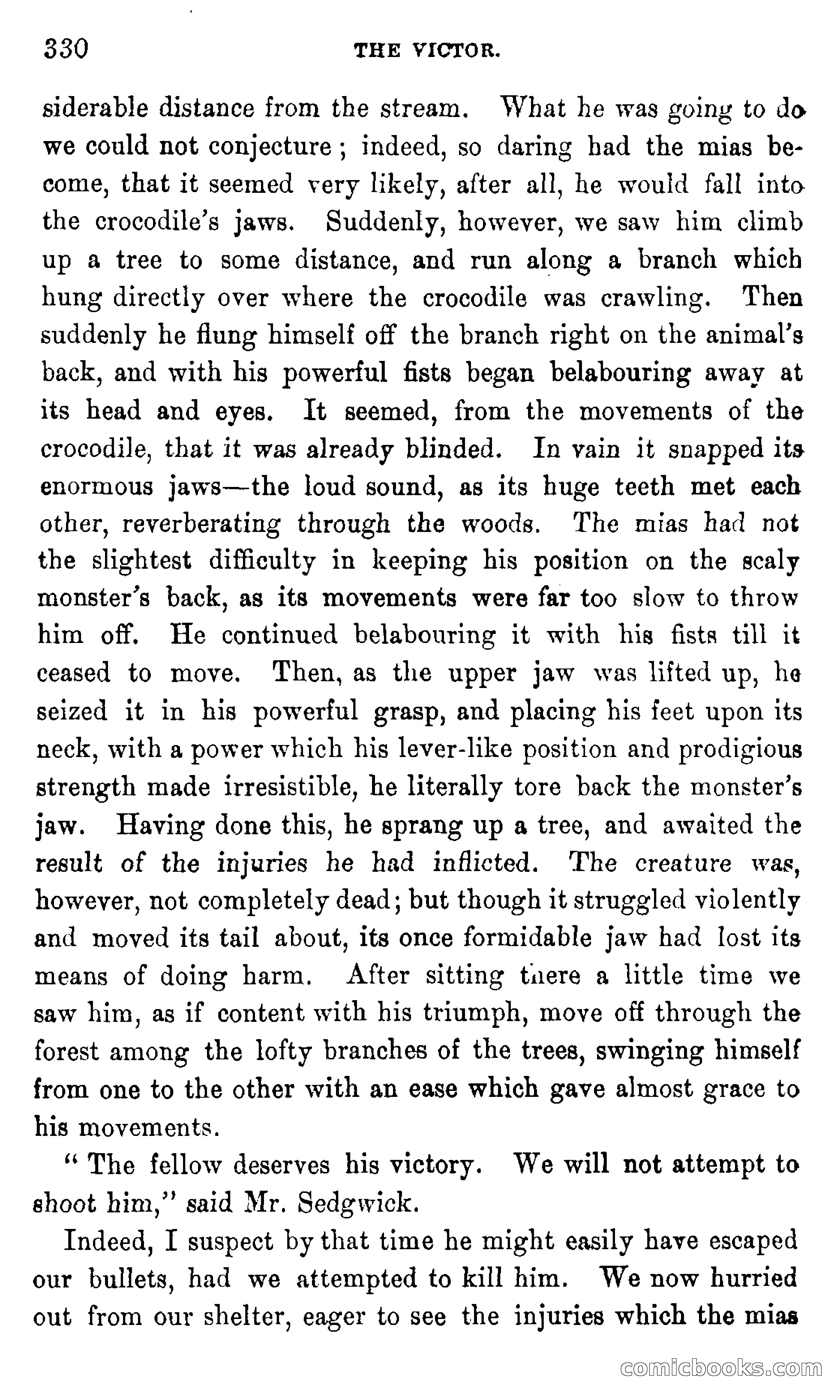 In the Eastern Seas — page 334 of 399
