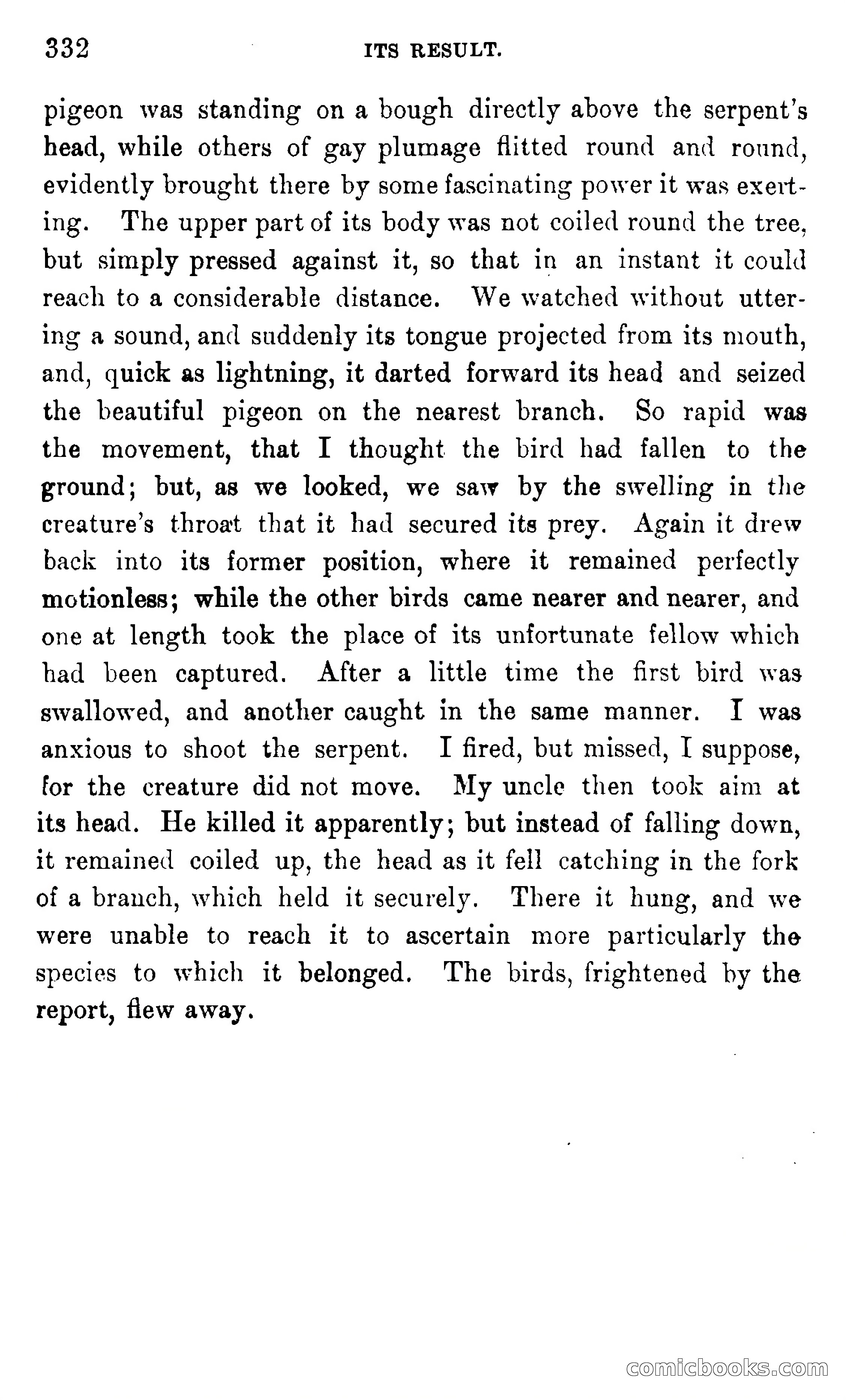 In the Eastern Seas — page 336 of 399