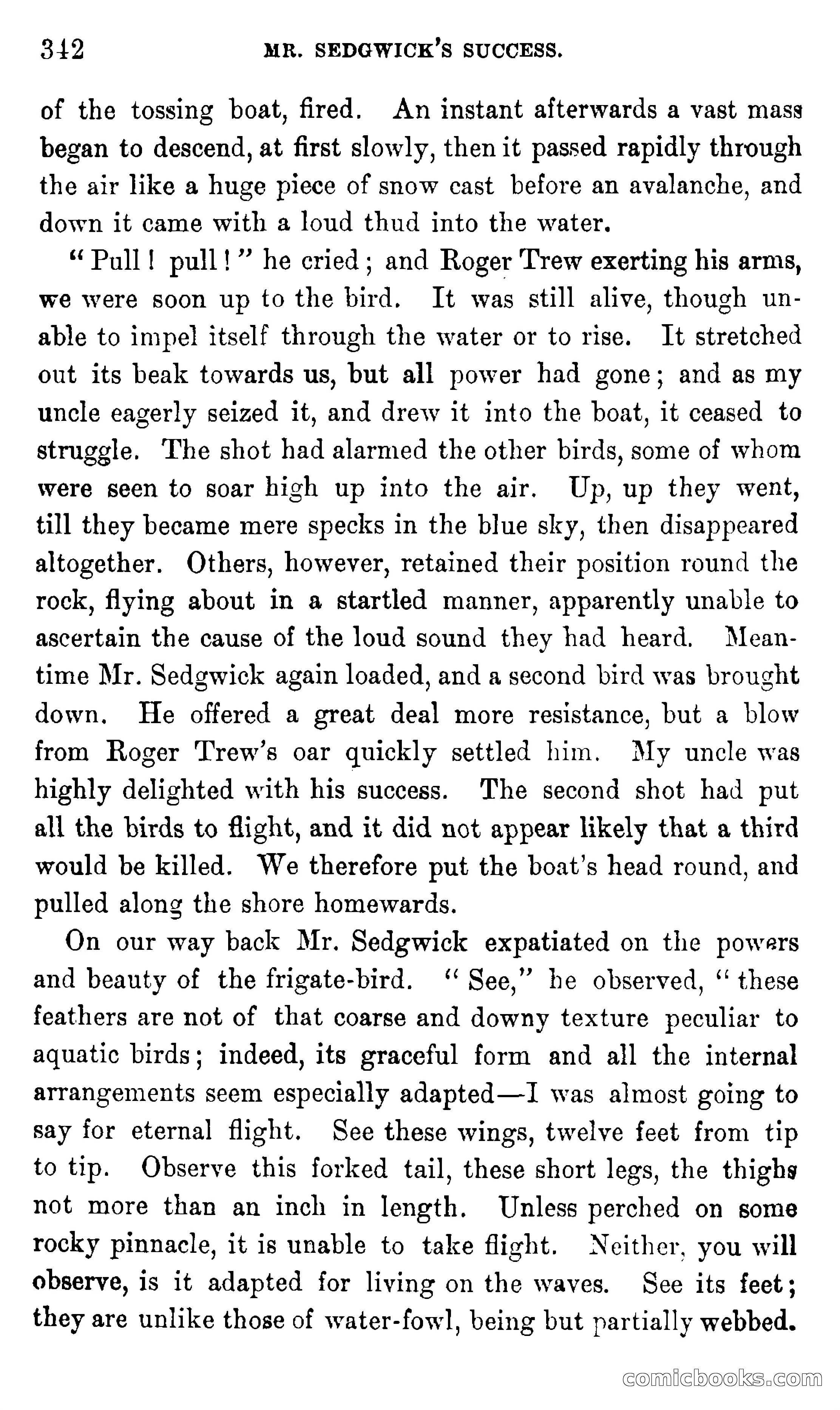 In the Eastern Seas — page 346 of 399