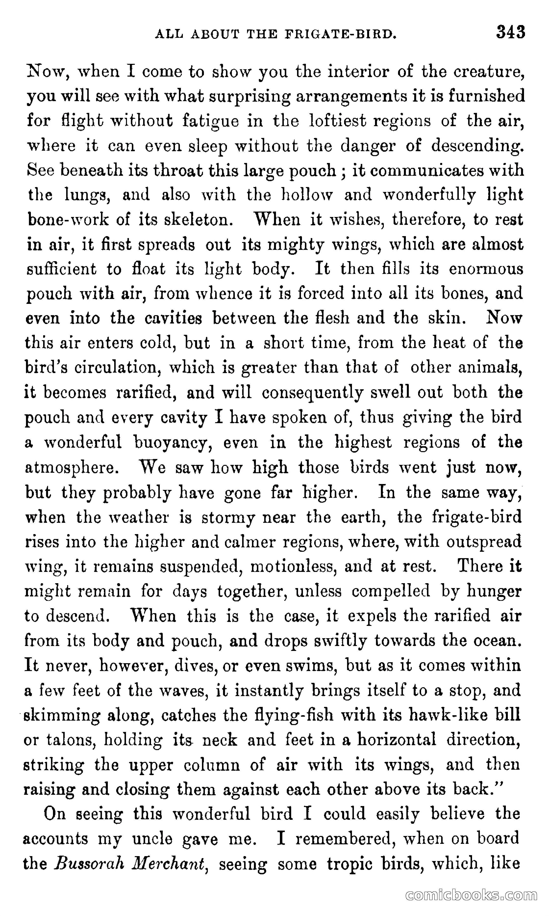 In the Eastern Seas — page 347 of 399