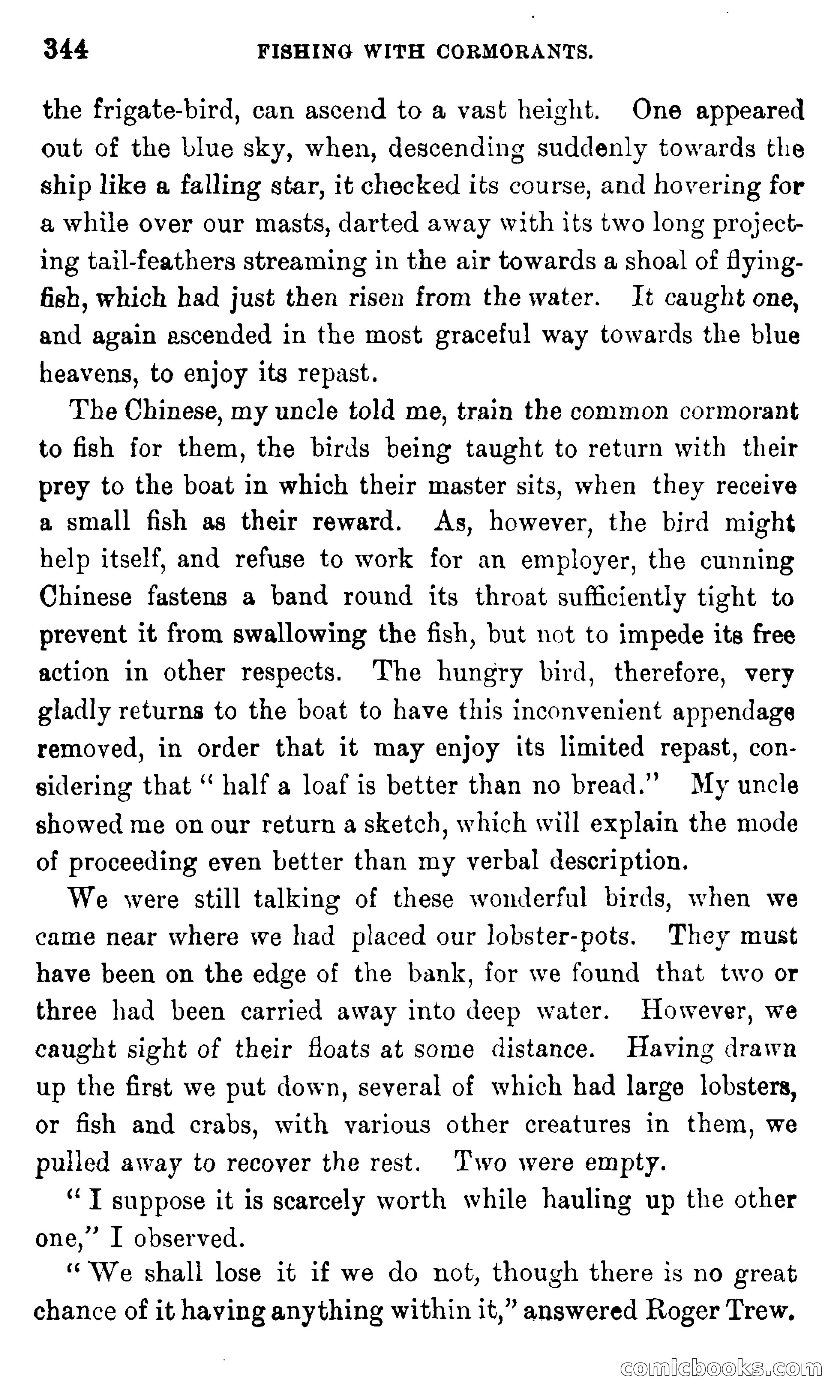 In the Eastern Seas — page 348 of 399