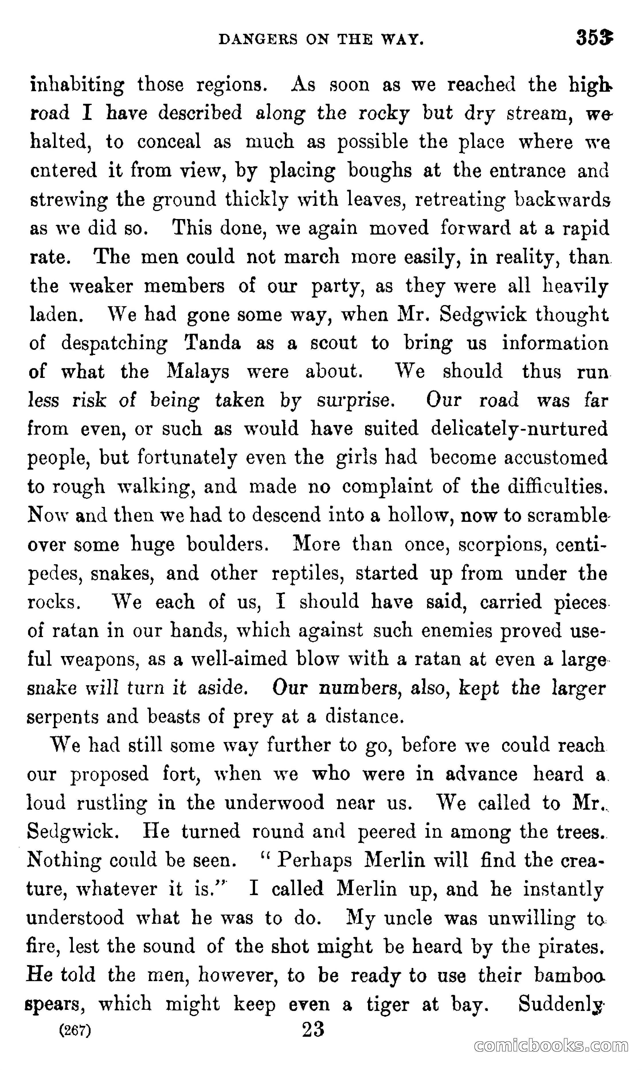In the Eastern Seas — page 357 of 399