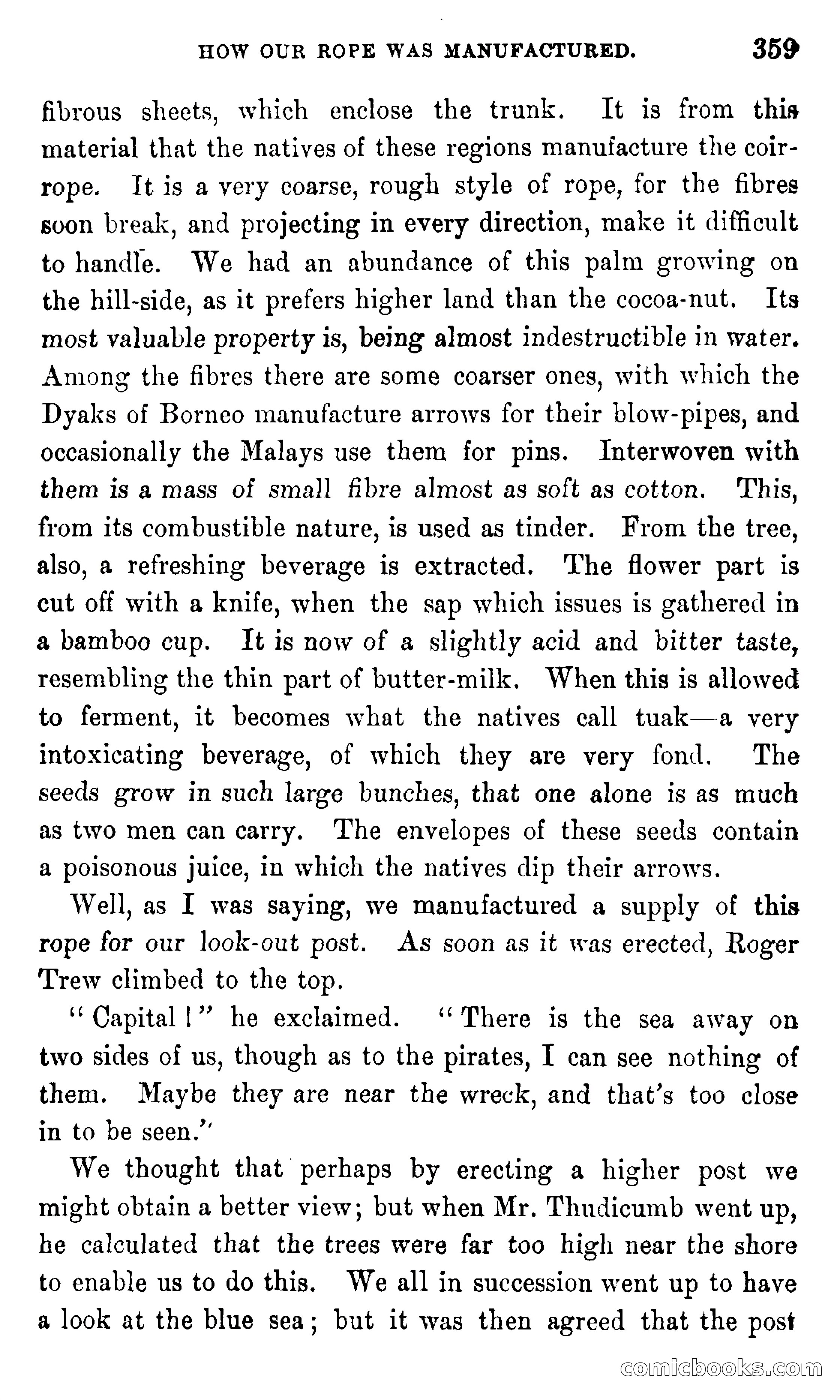 In the Eastern Seas — page 363 of 399