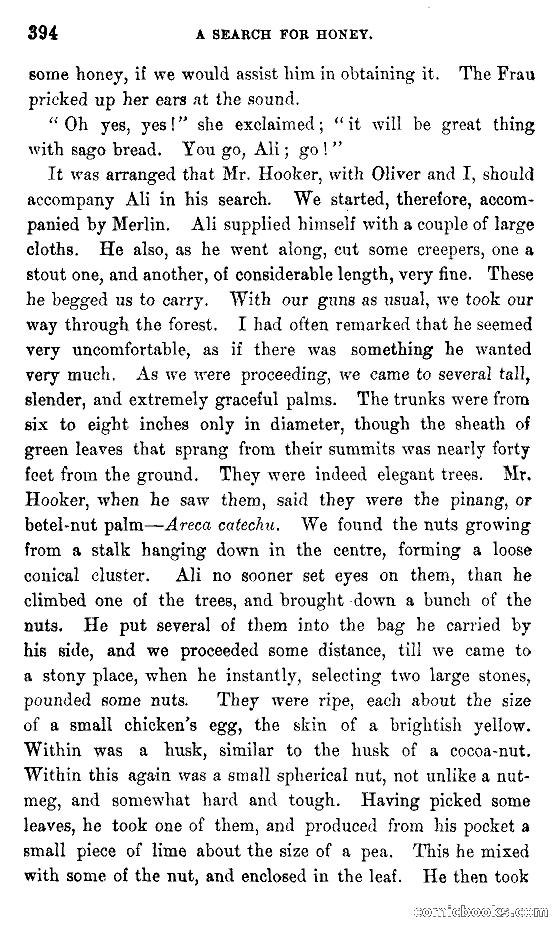 In the Eastern Seas — page 398 of 399
