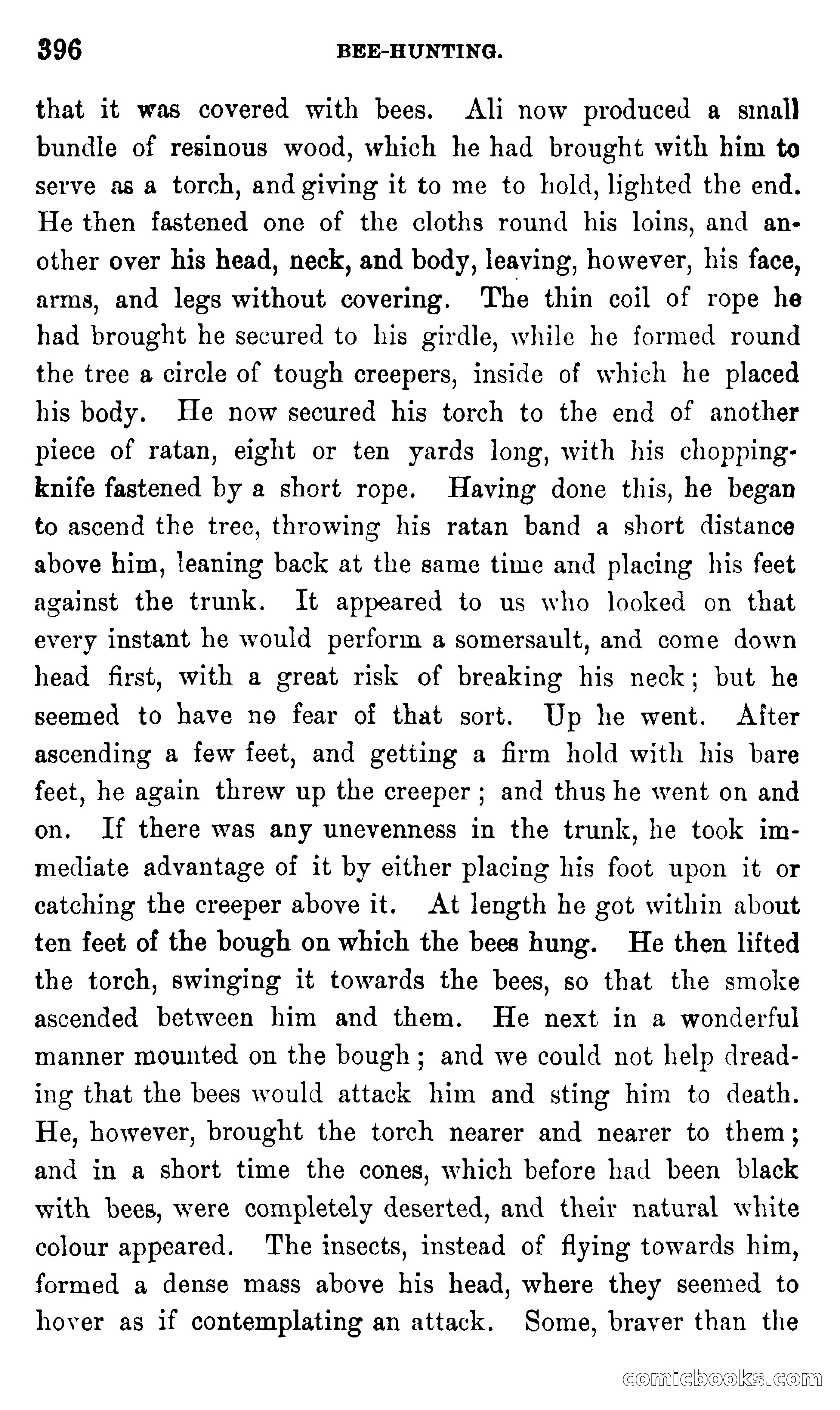 In the Eastern Seas — page 400 of 399