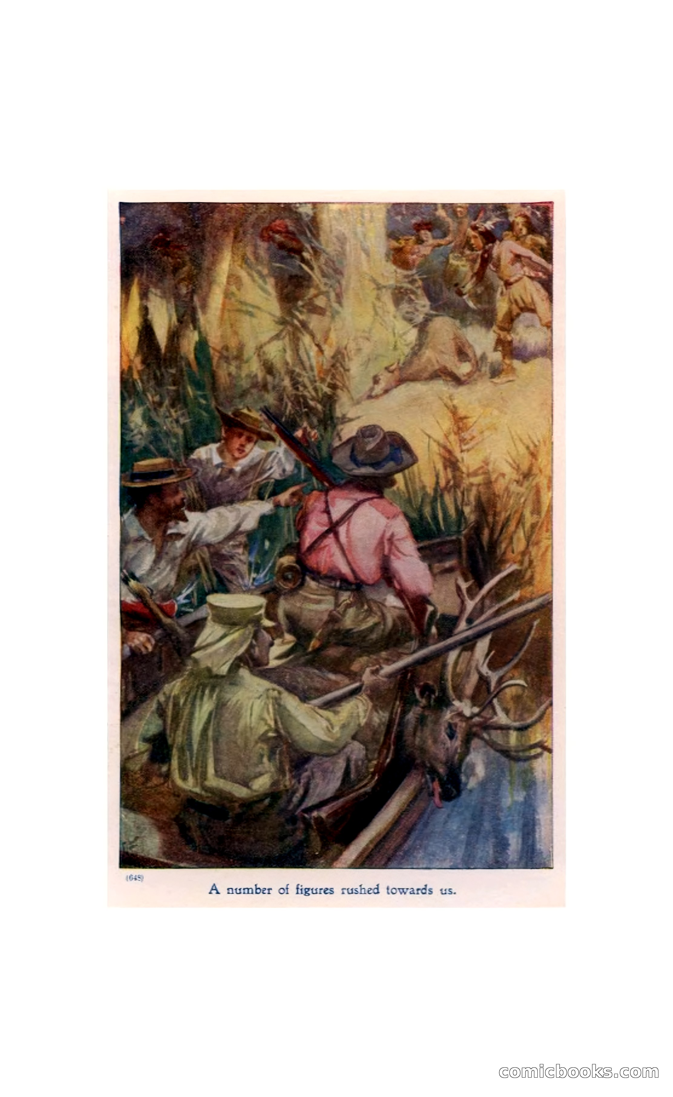 In the Wilds of Florida — page 8 of 400