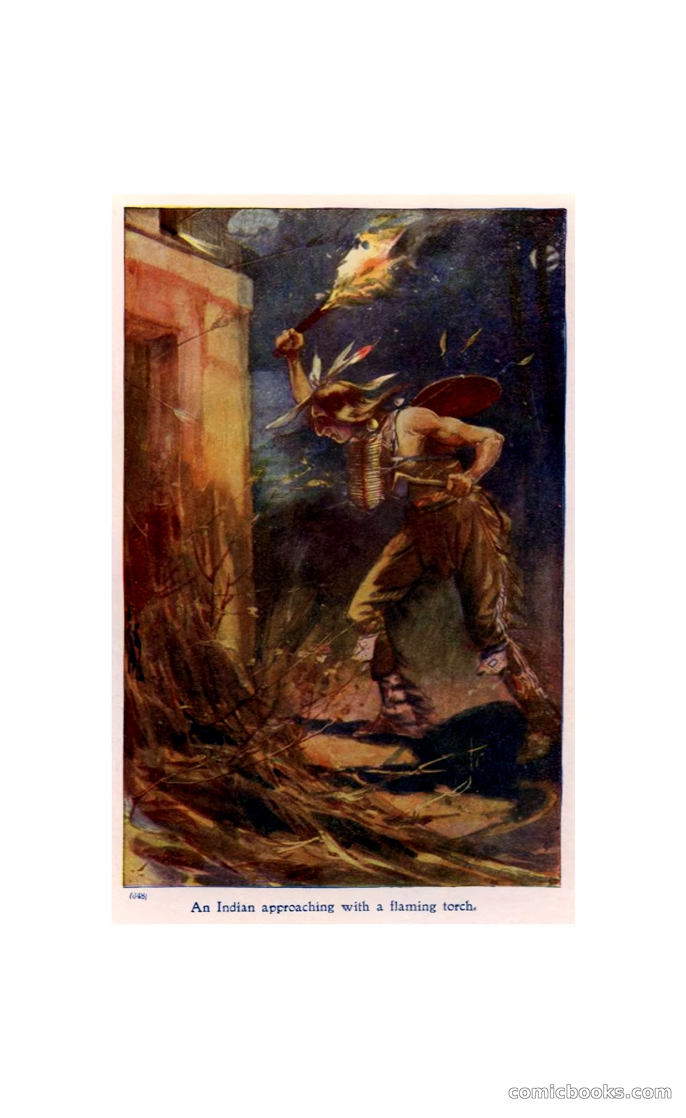 In the Wilds of Florida — page 9 of 400
