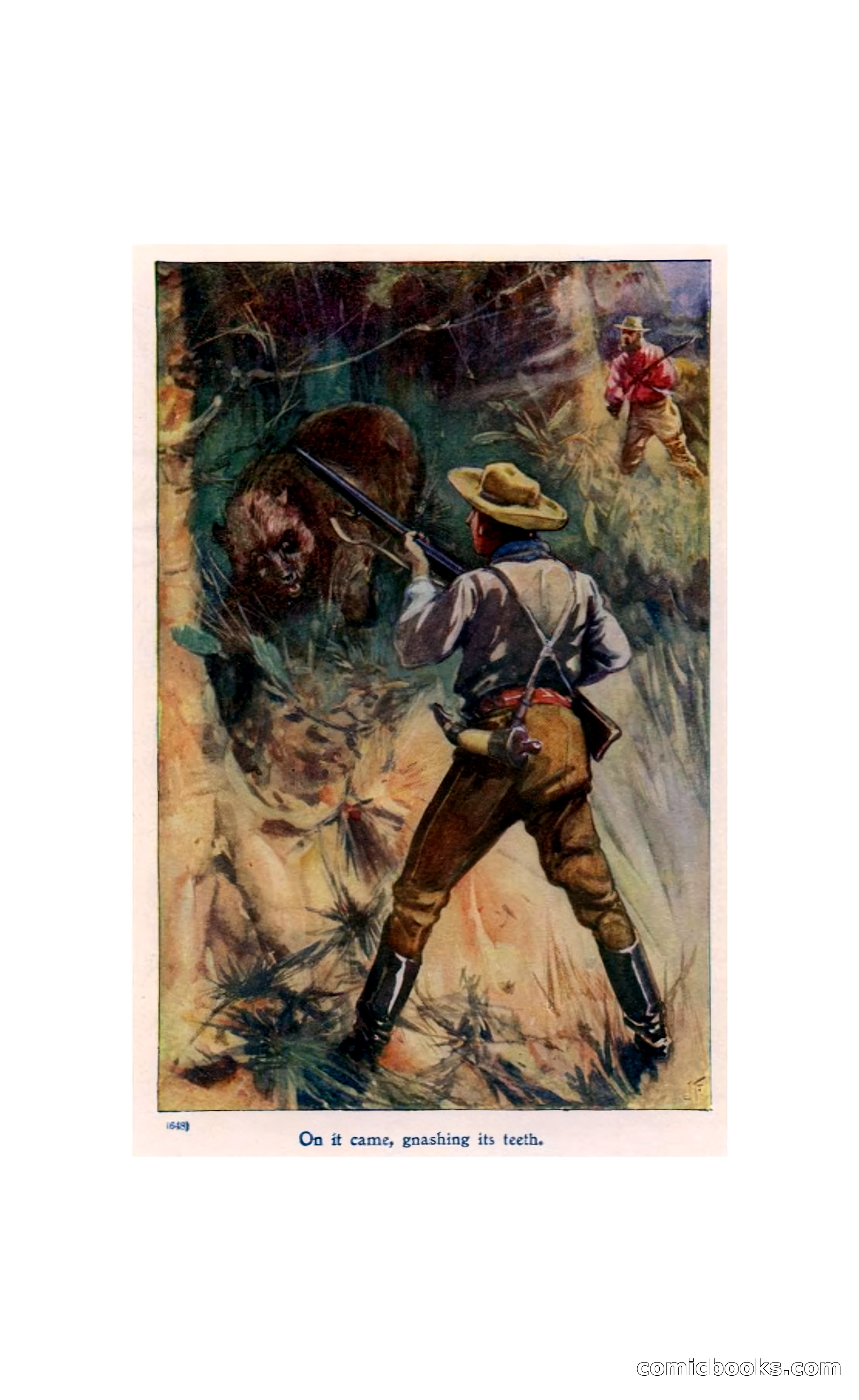 In the Wilds of Florida — page 10 of 400