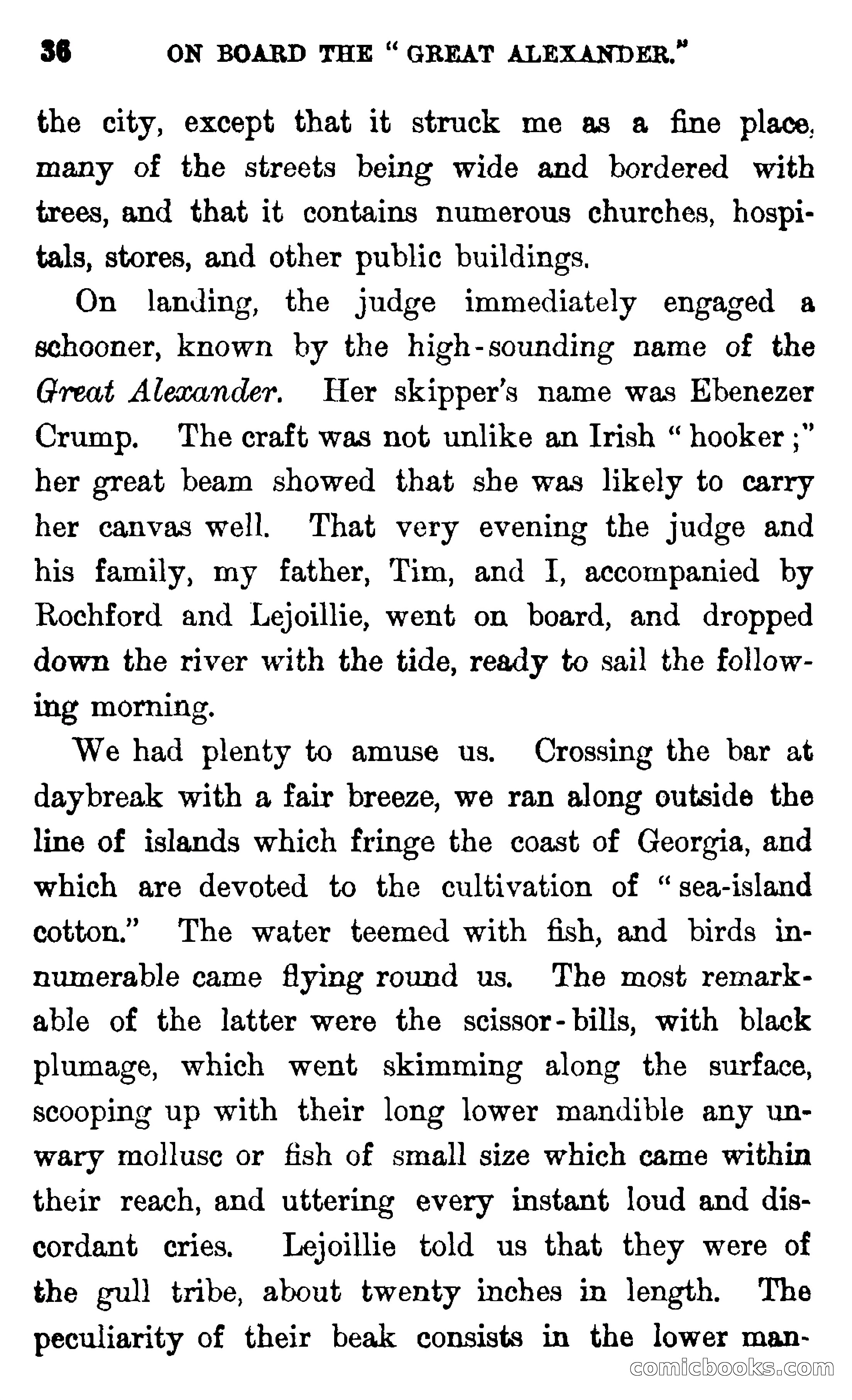 In the Wilds of Florida — page 38 of 400