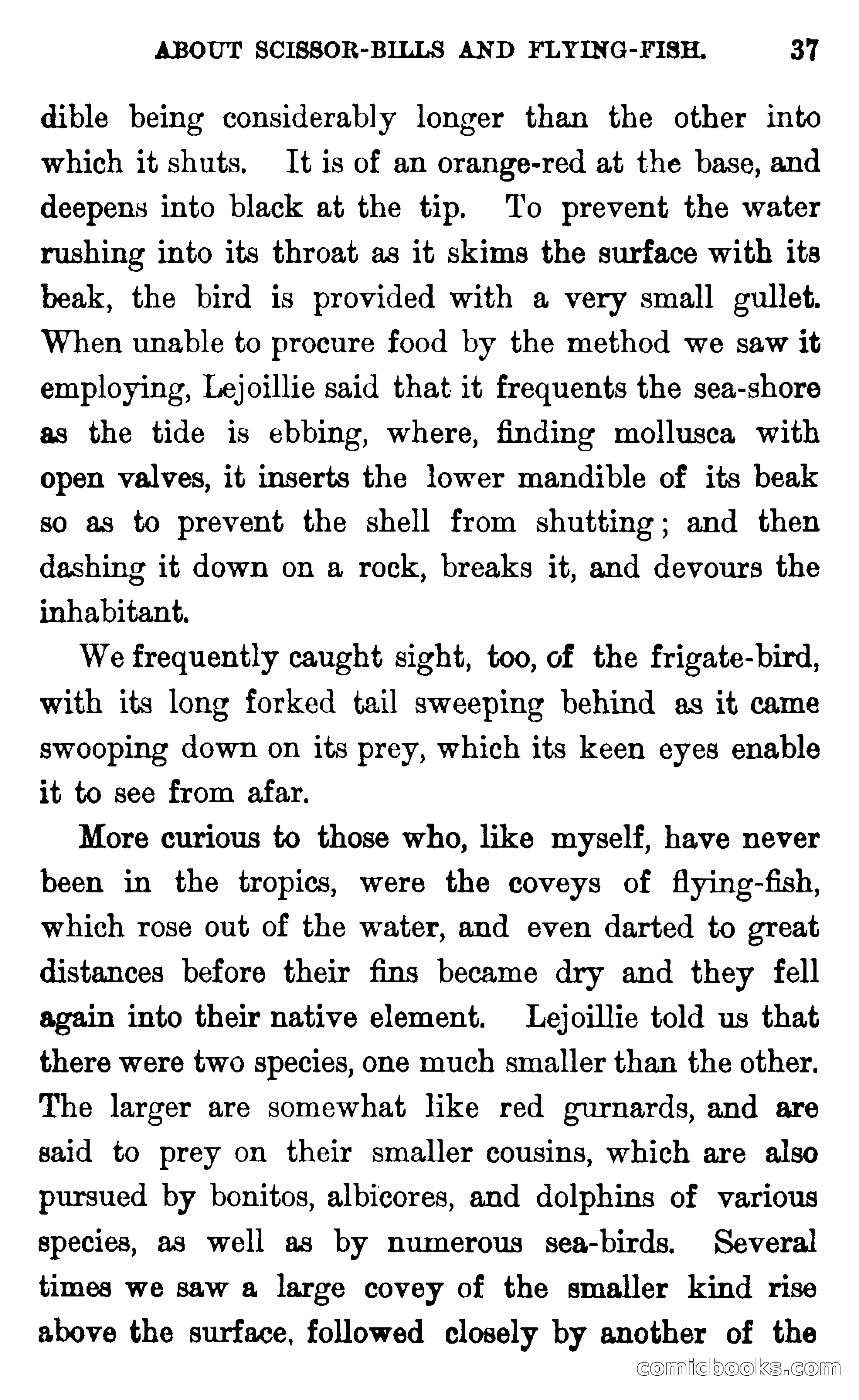 In the Wilds of Florida — page 39 of 400
