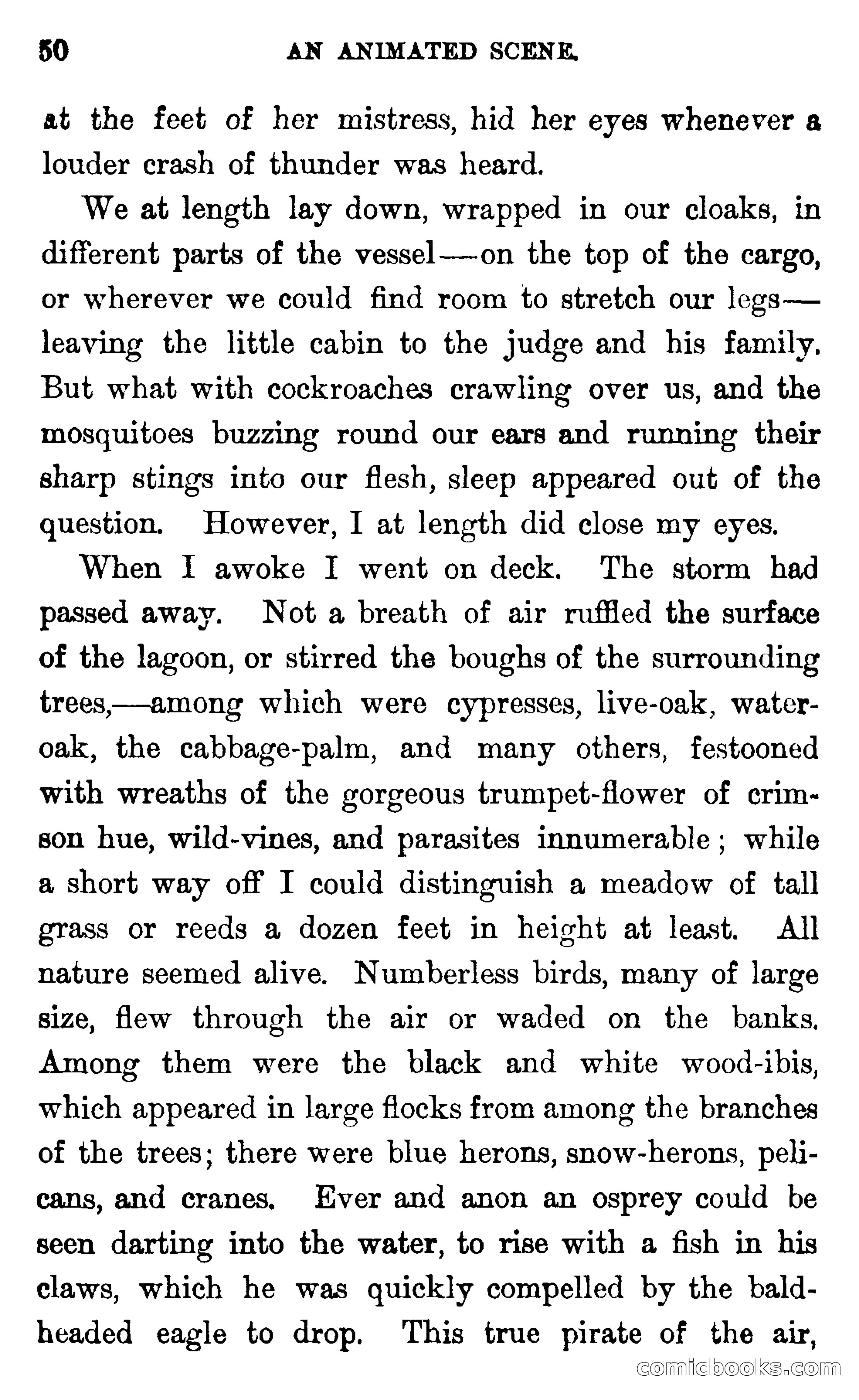 In the Wilds of Florida — page 52 of 400