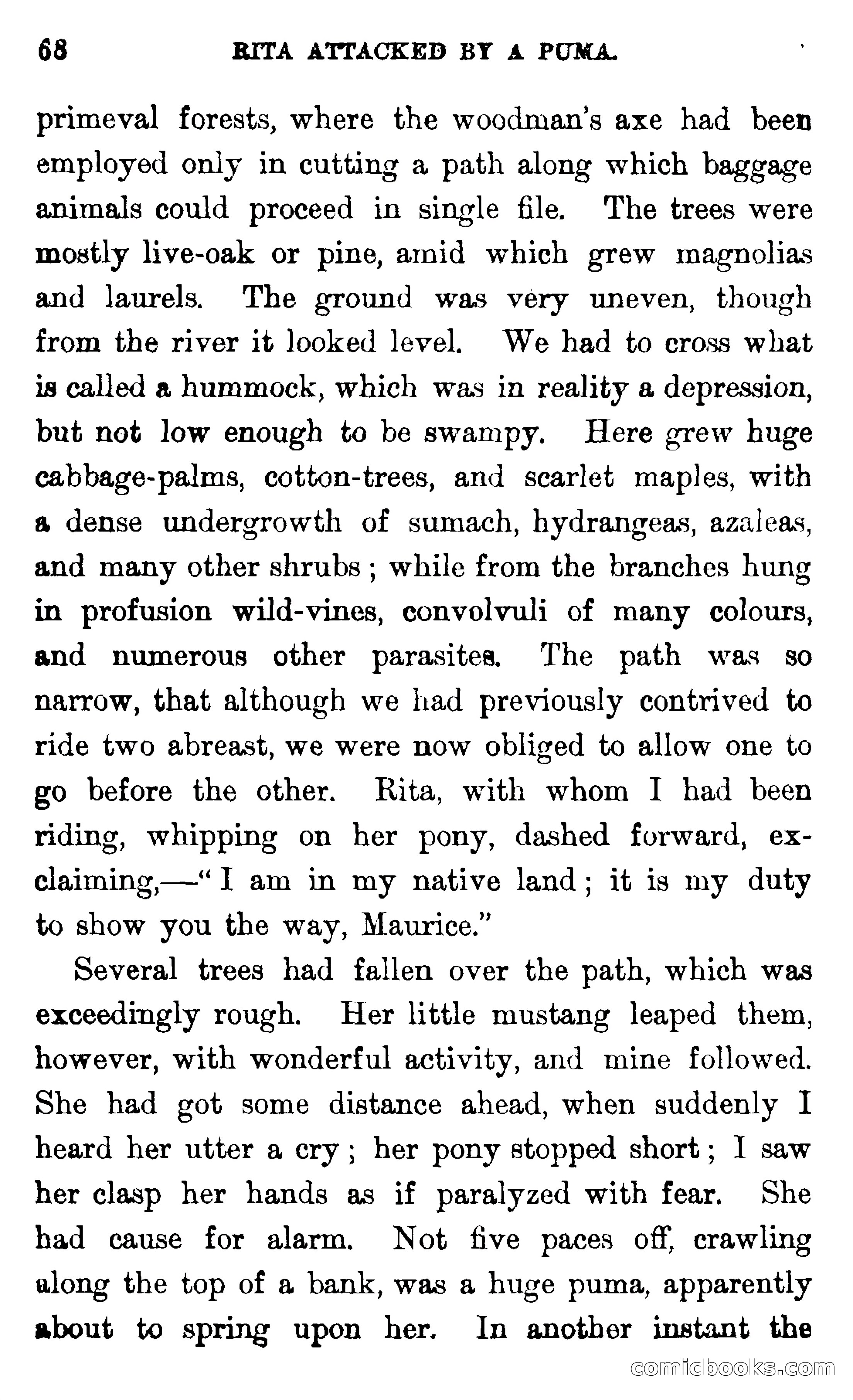 In the Wilds of Florida — page 70 of 400