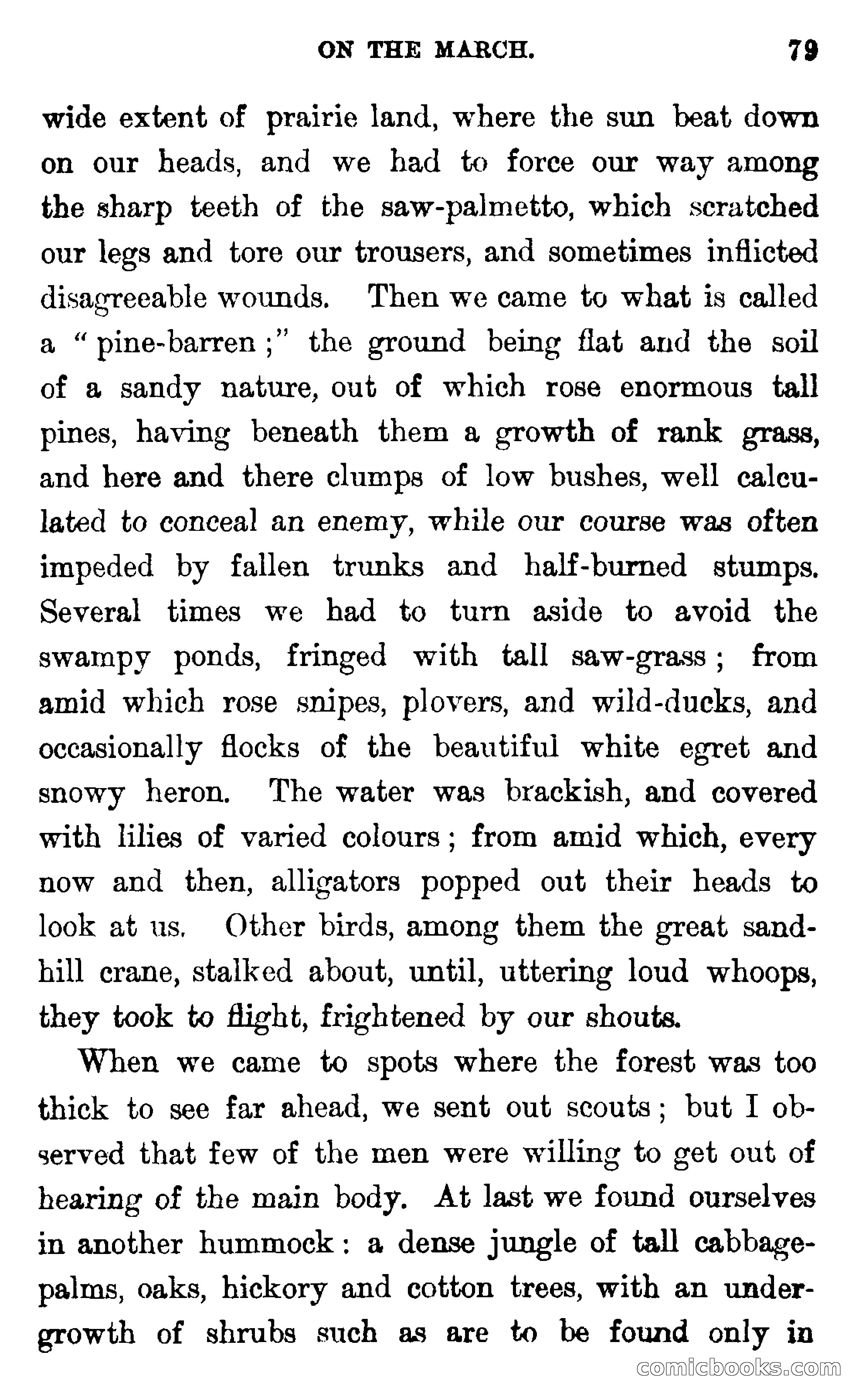 In the Wilds of Florida — page 81 of 400