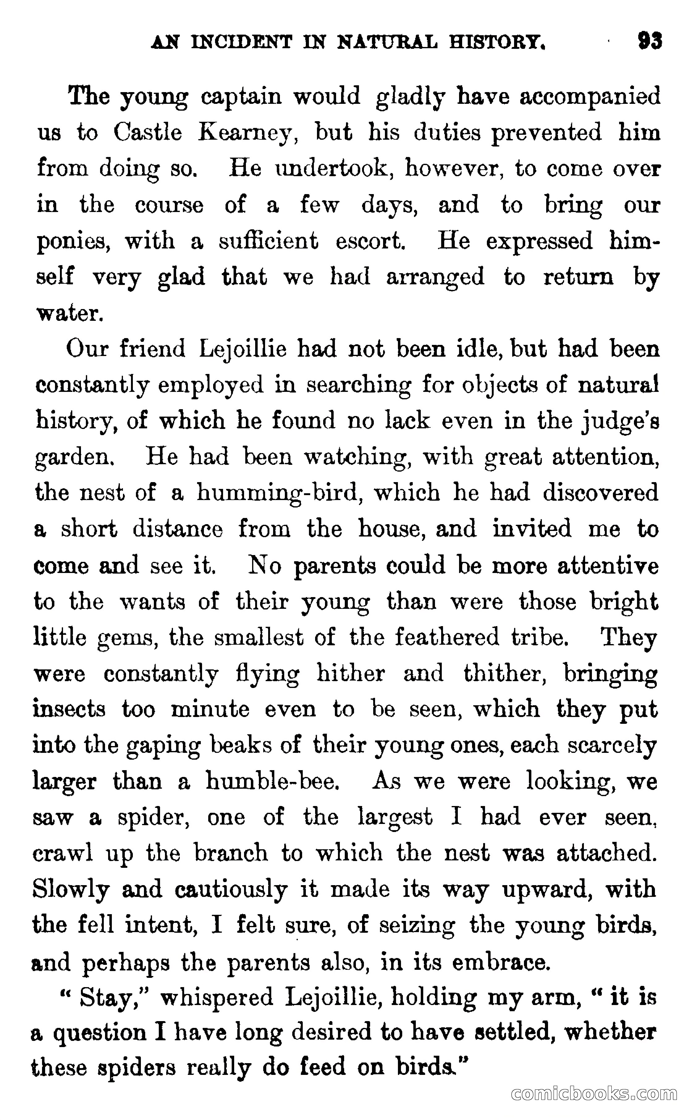 In the Wilds of Florida — page 95 of 400