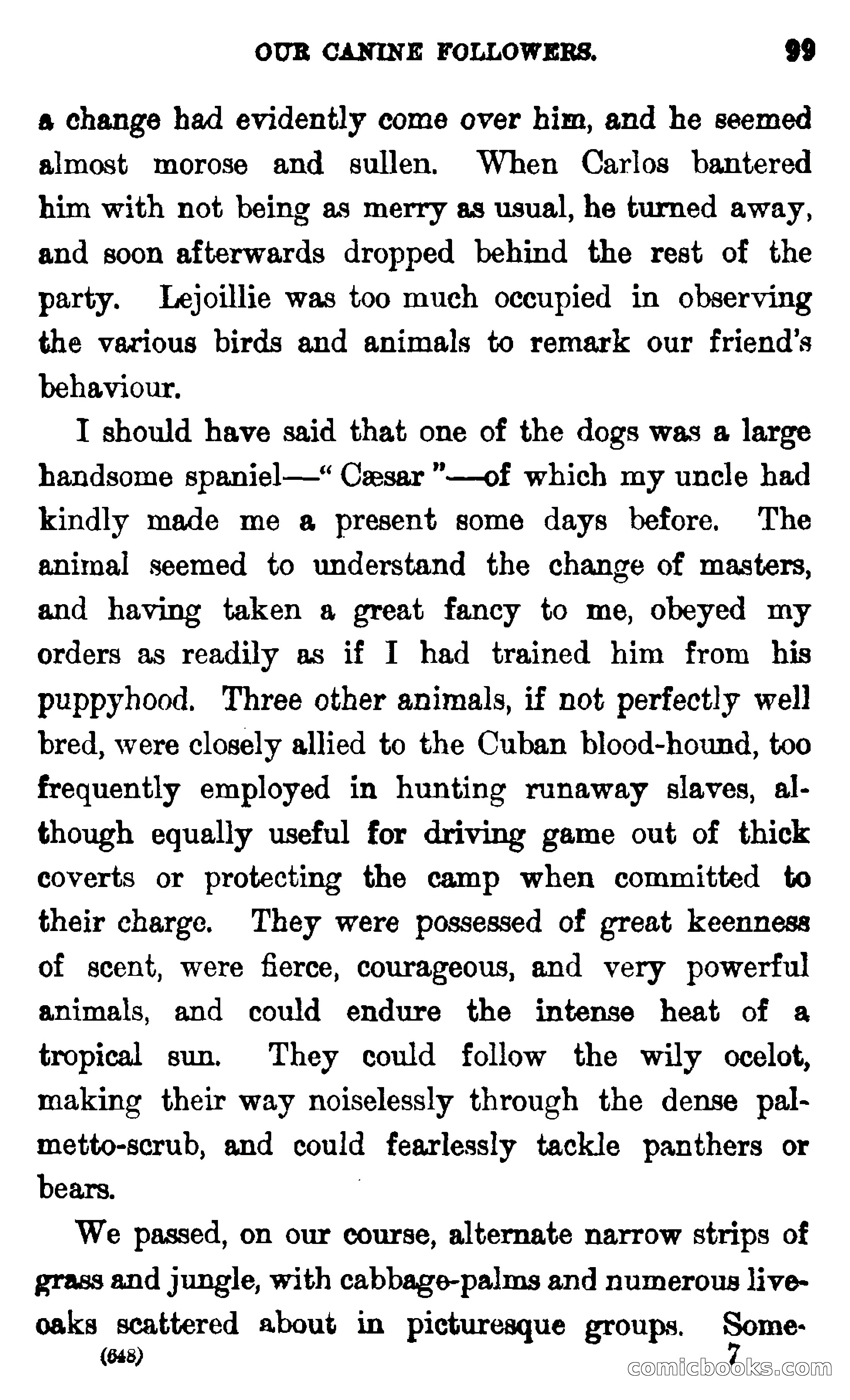 In the Wilds of Florida — page 101 of 400
