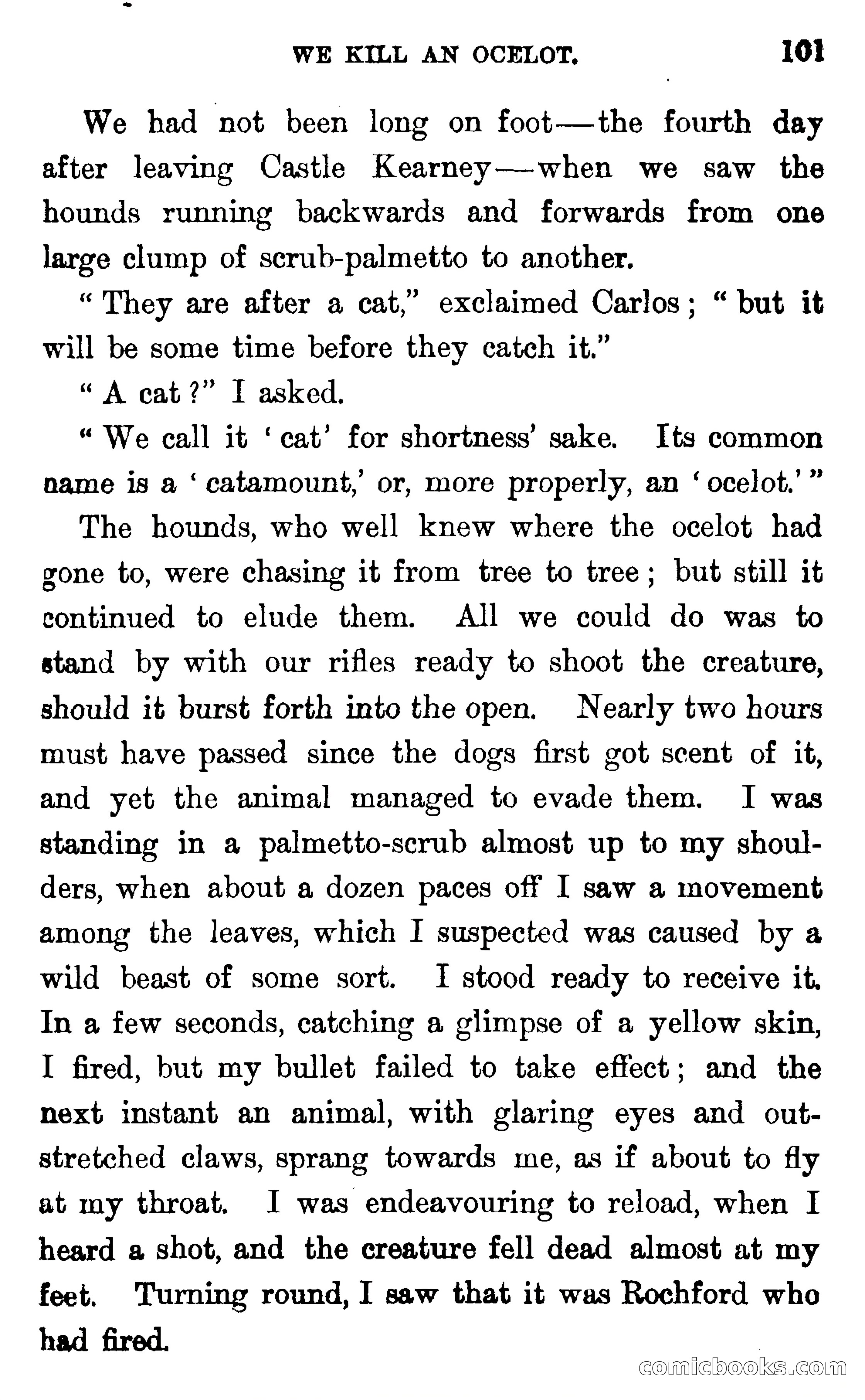 In the Wilds of Florida — page 103 of 400