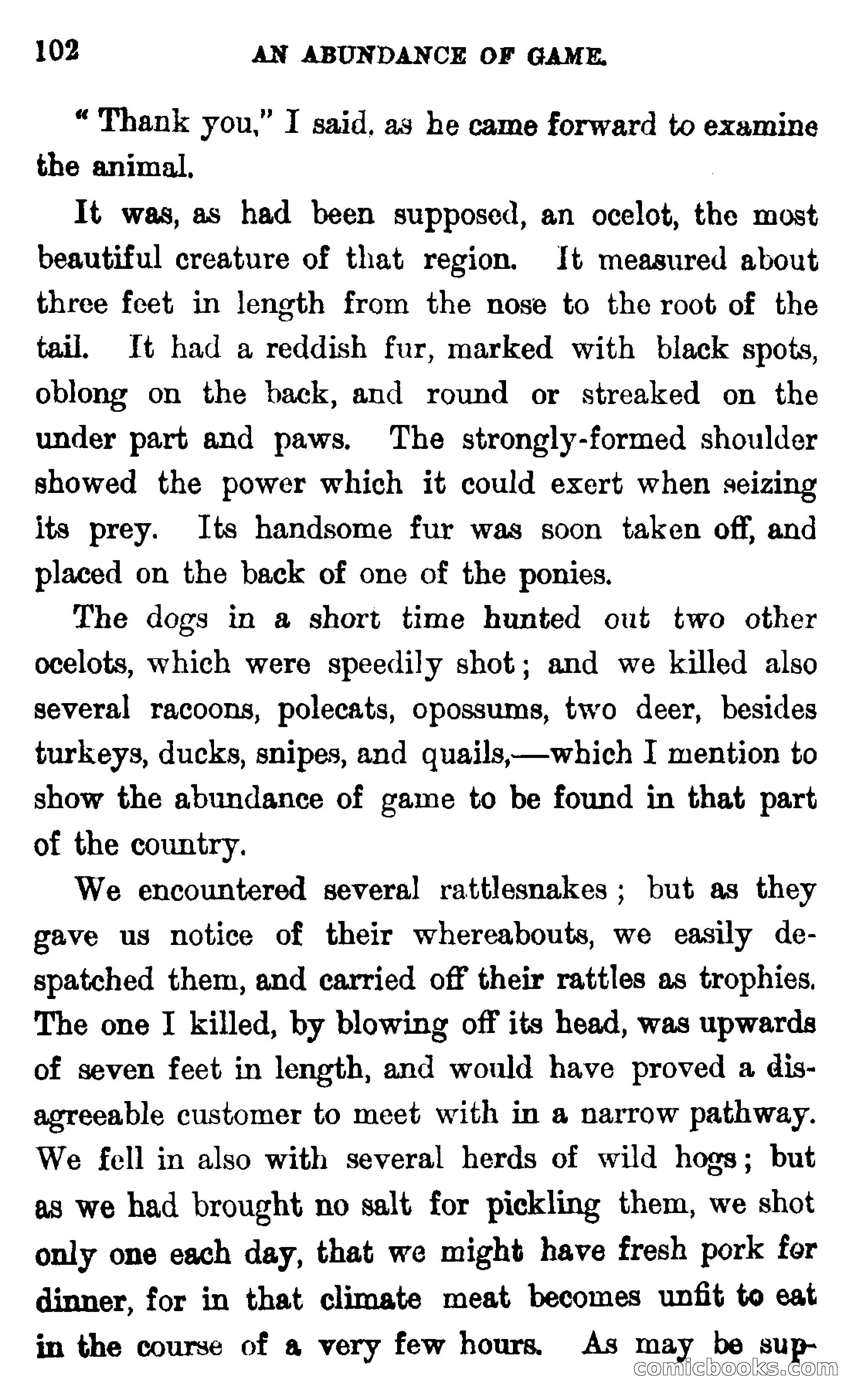 In the Wilds of Florida — page 104 of 400