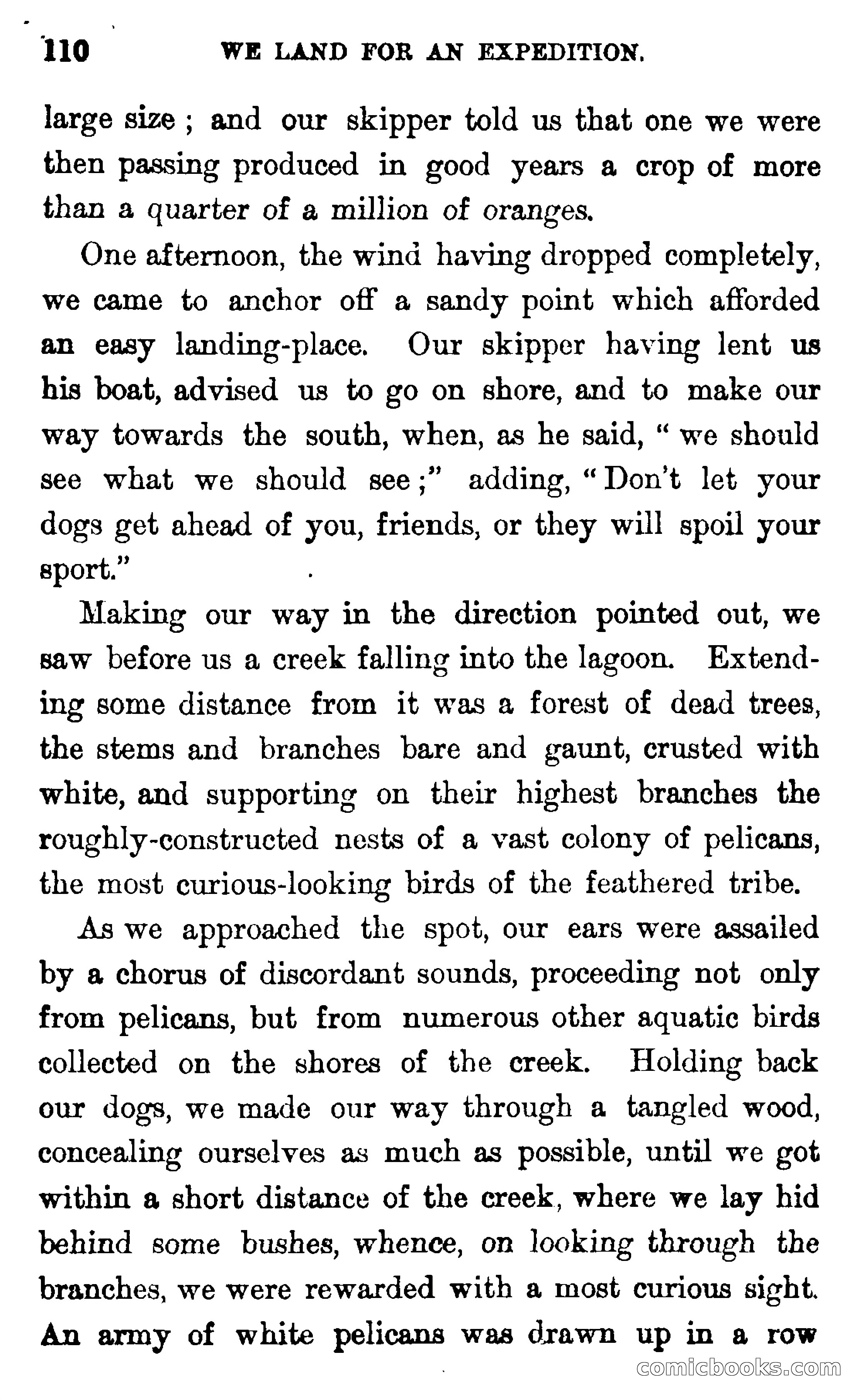 In the Wilds of Florida — page 112 of 400