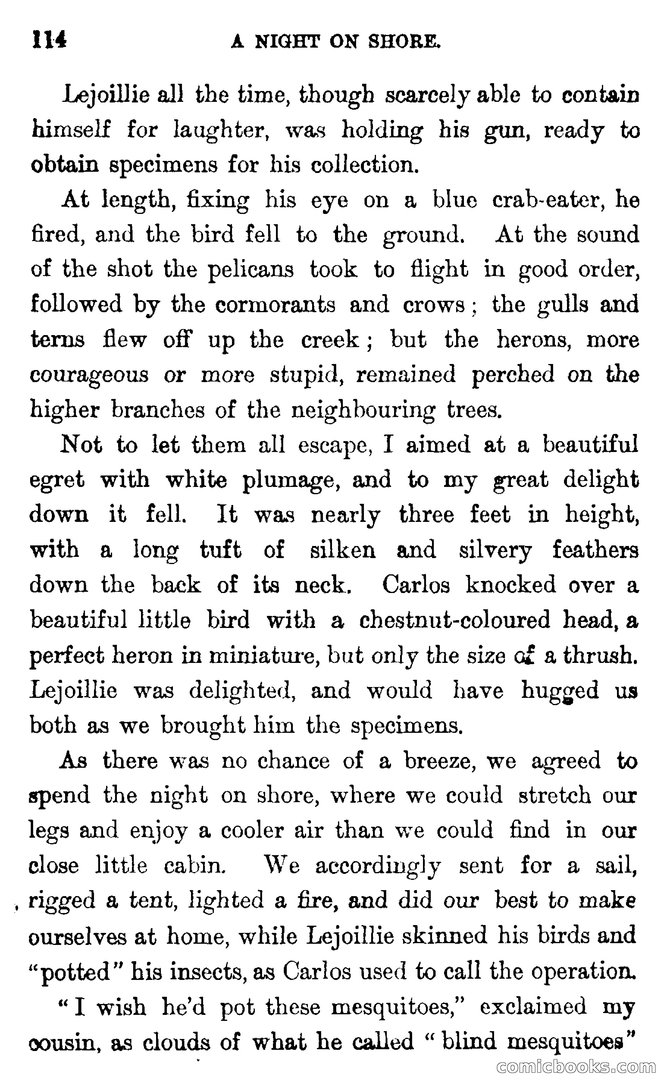 In the Wilds of Florida — page 116 of 400