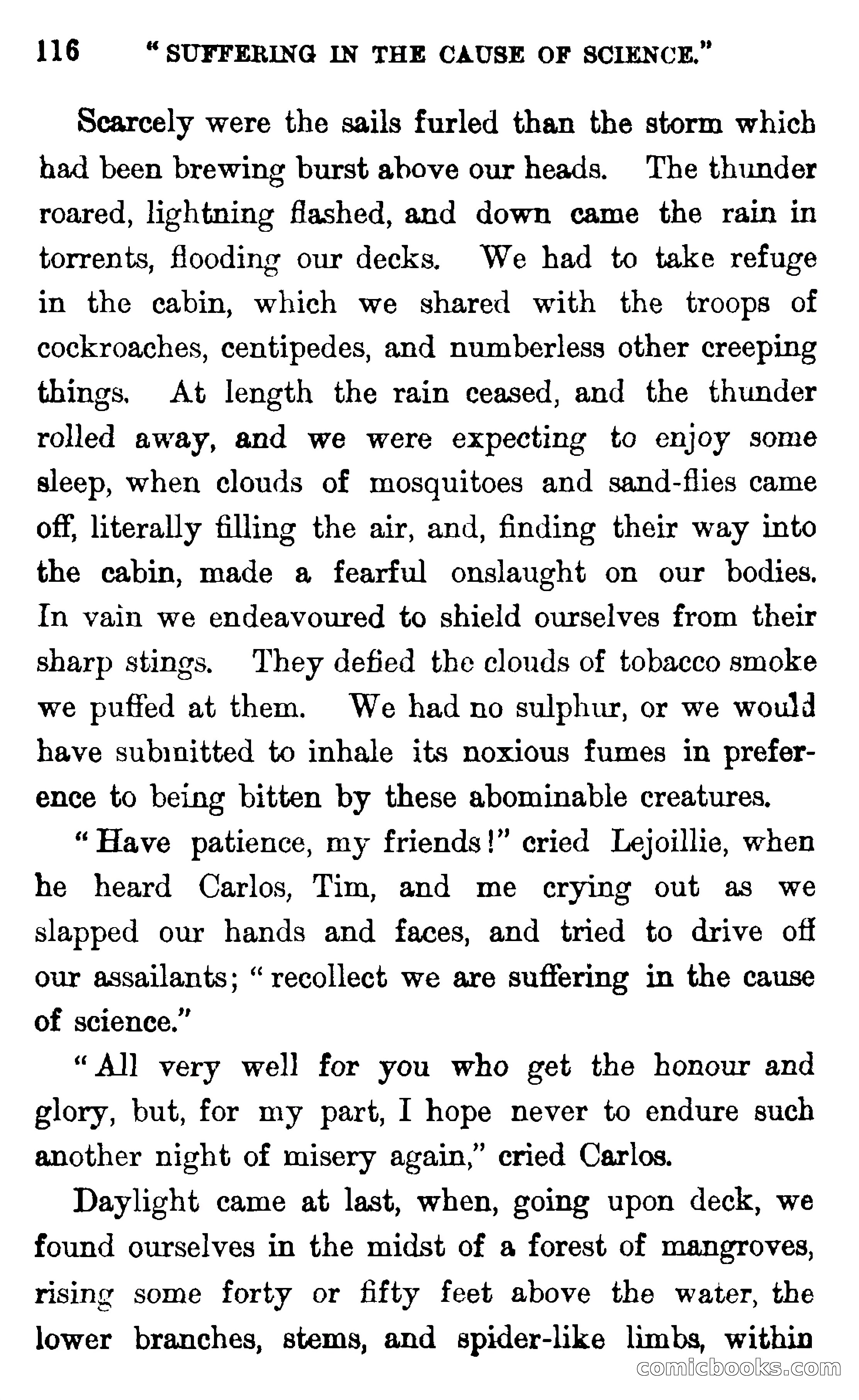 In the Wilds of Florida — page 118 of 400