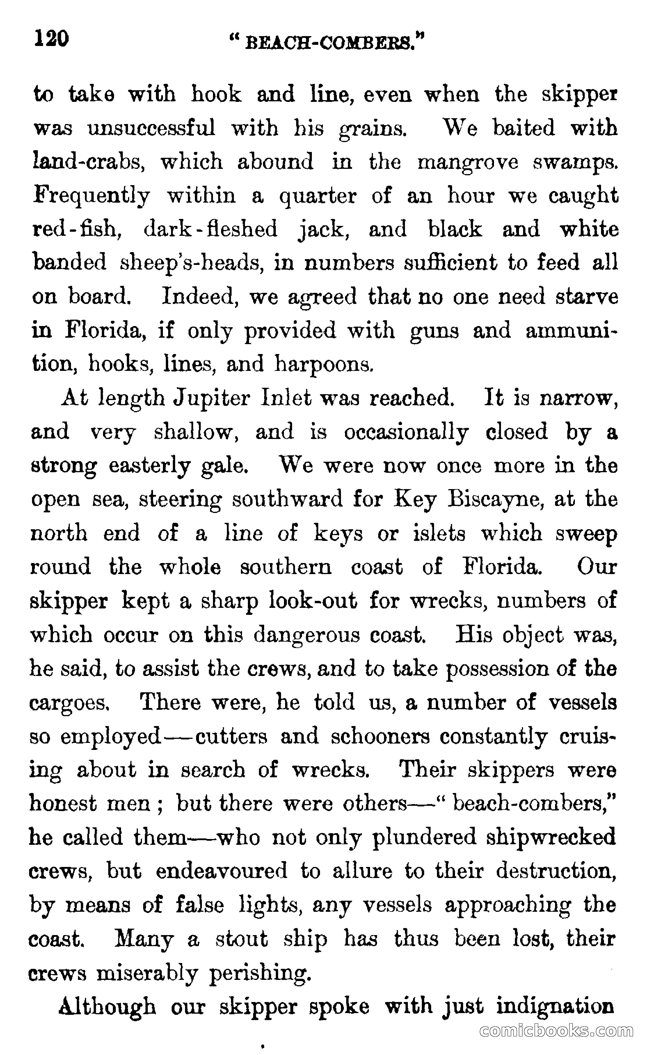 In the Wilds of Florida — page 122 of 400